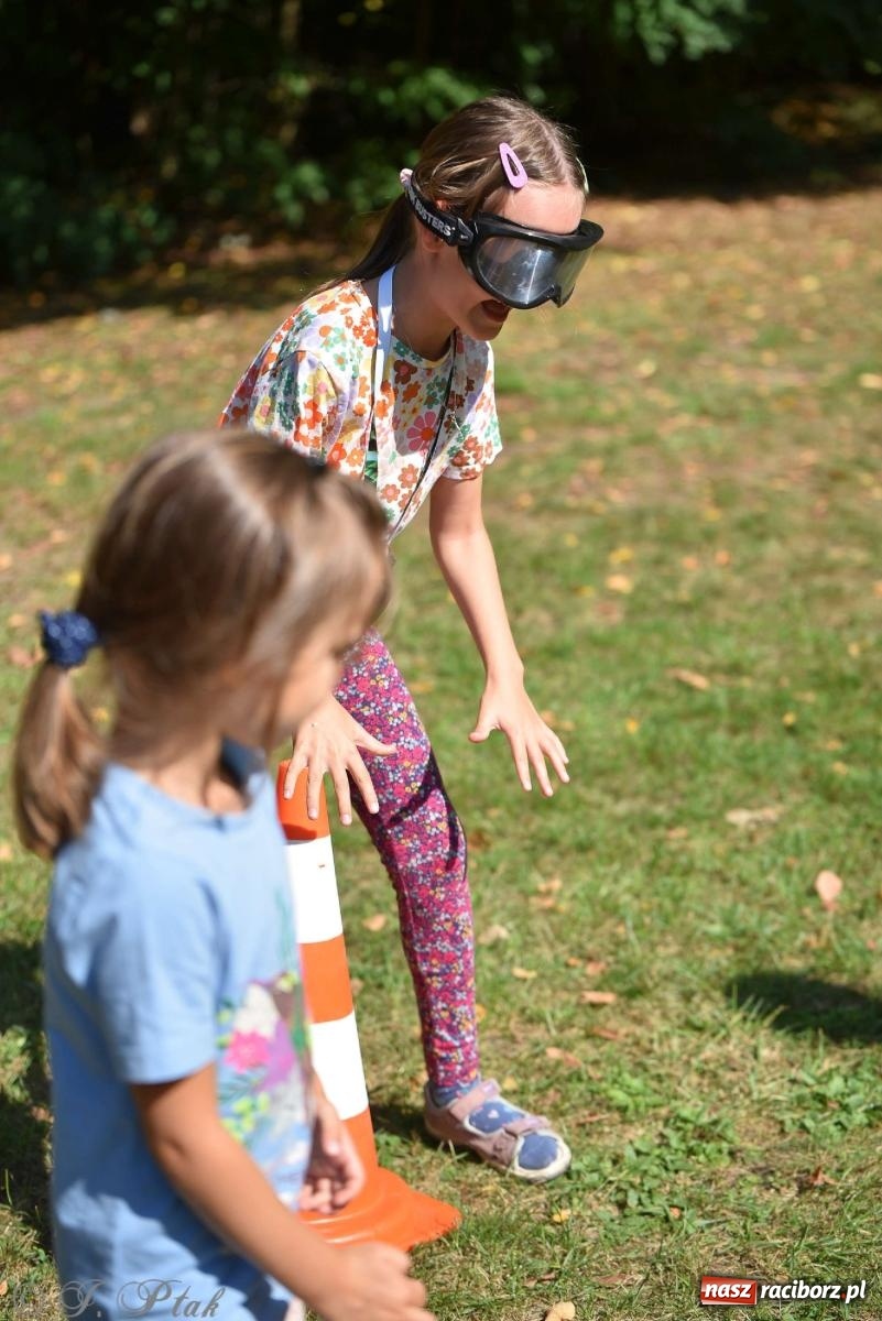 Zdjęcie w galerii na portalu naszraciborz.pl: Raciborski Piknik Leśny w Arboretum Bramy Morawskiej wiadomości z regionu