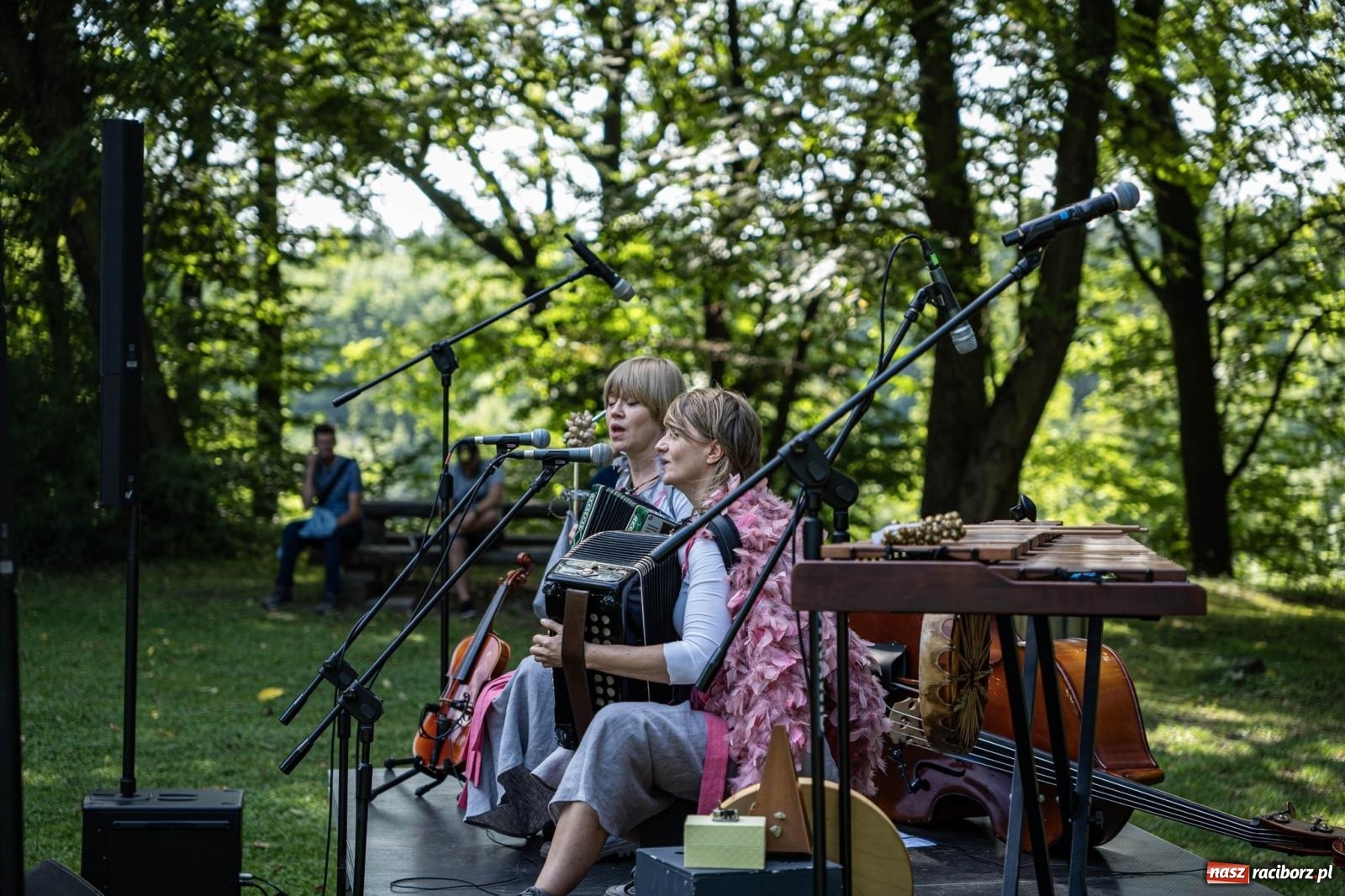 Zdjęcie w galerii na portalu naszraciborz.pl: Raciborski Piknik Leśny w Arboretum Bramy Morawskiej wiadomości z regionu
