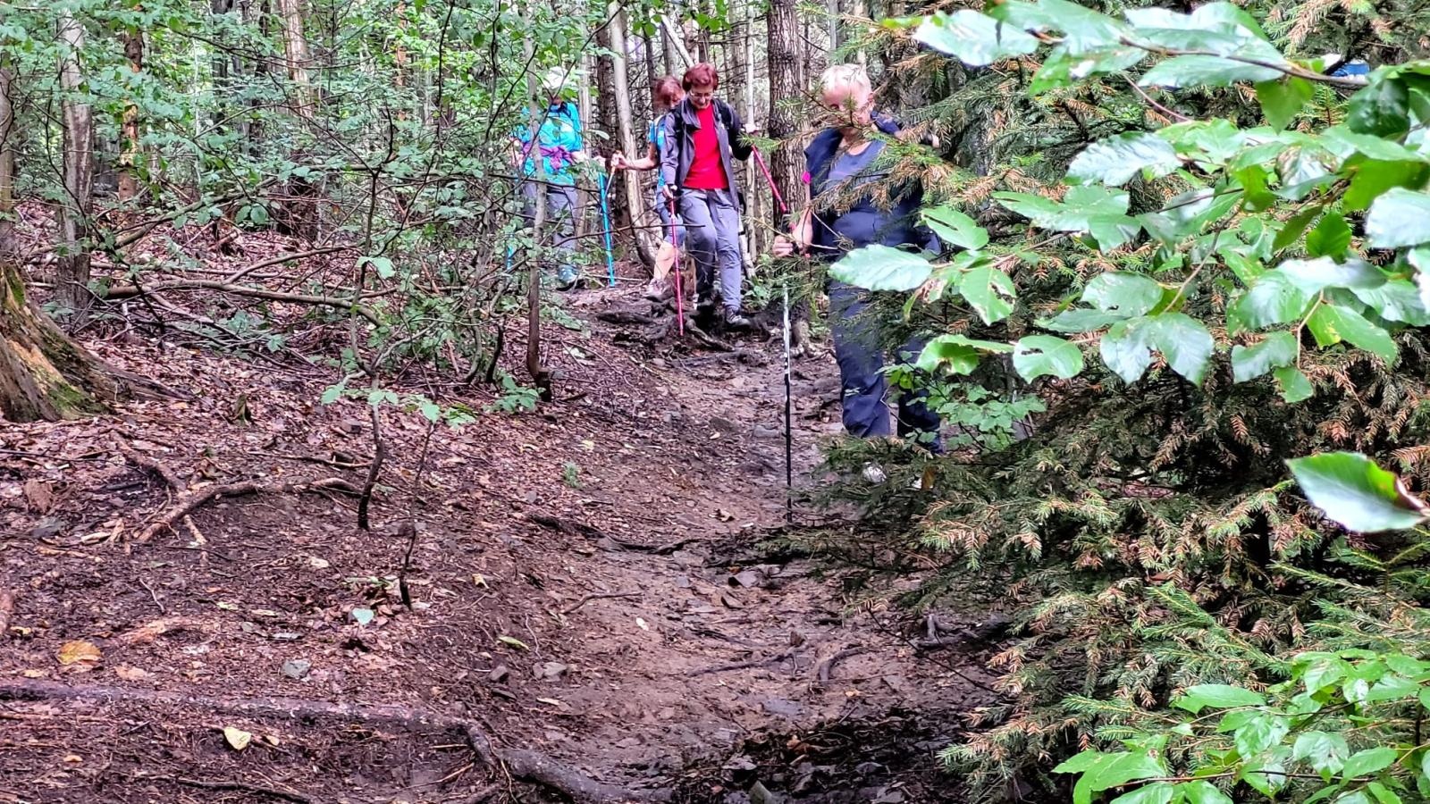Zdjęcie w galerii na portalu naszraciborz.pl: Góry Bardzkie i Opawskie celem raciborskich górołazów wiadomości z regionu