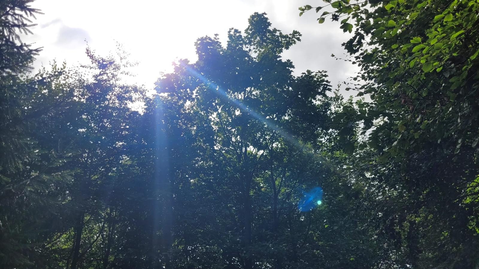 Zdjęcie w galerii na portalu naszraciborz.pl: Góry Bardzkie i Opawskie celem raciborskich górołazów wiadomości z regionu