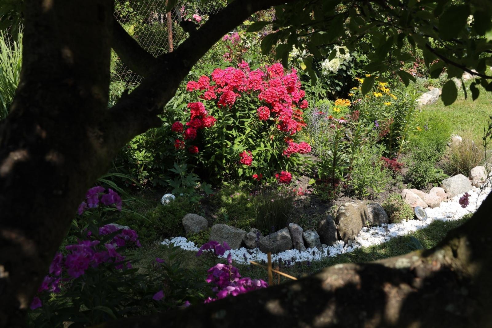 Zdjęcie w galerii na portalu naszraciborz.pl: Konkurs Zielono Mi - laureatki w kategorii najpiękniejszy ogród przydomowy wiadomości z regionu