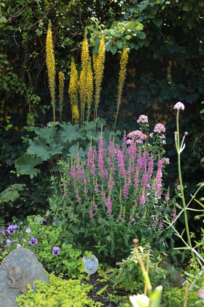 Zdjęcie w galerii na portalu naszraciborz.pl: Konkurs Zielono Mi - laureatki w kategorii najpiękniejszy ogród przydomowy wiadomości z regionu