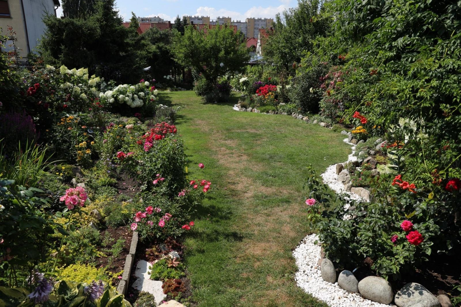 Zdjęcie w galerii na portalu naszraciborz.pl: Konkurs Zielono Mi - laureatki w kategorii najpiękniejszy ogród przydomowy wiadomości z regionu