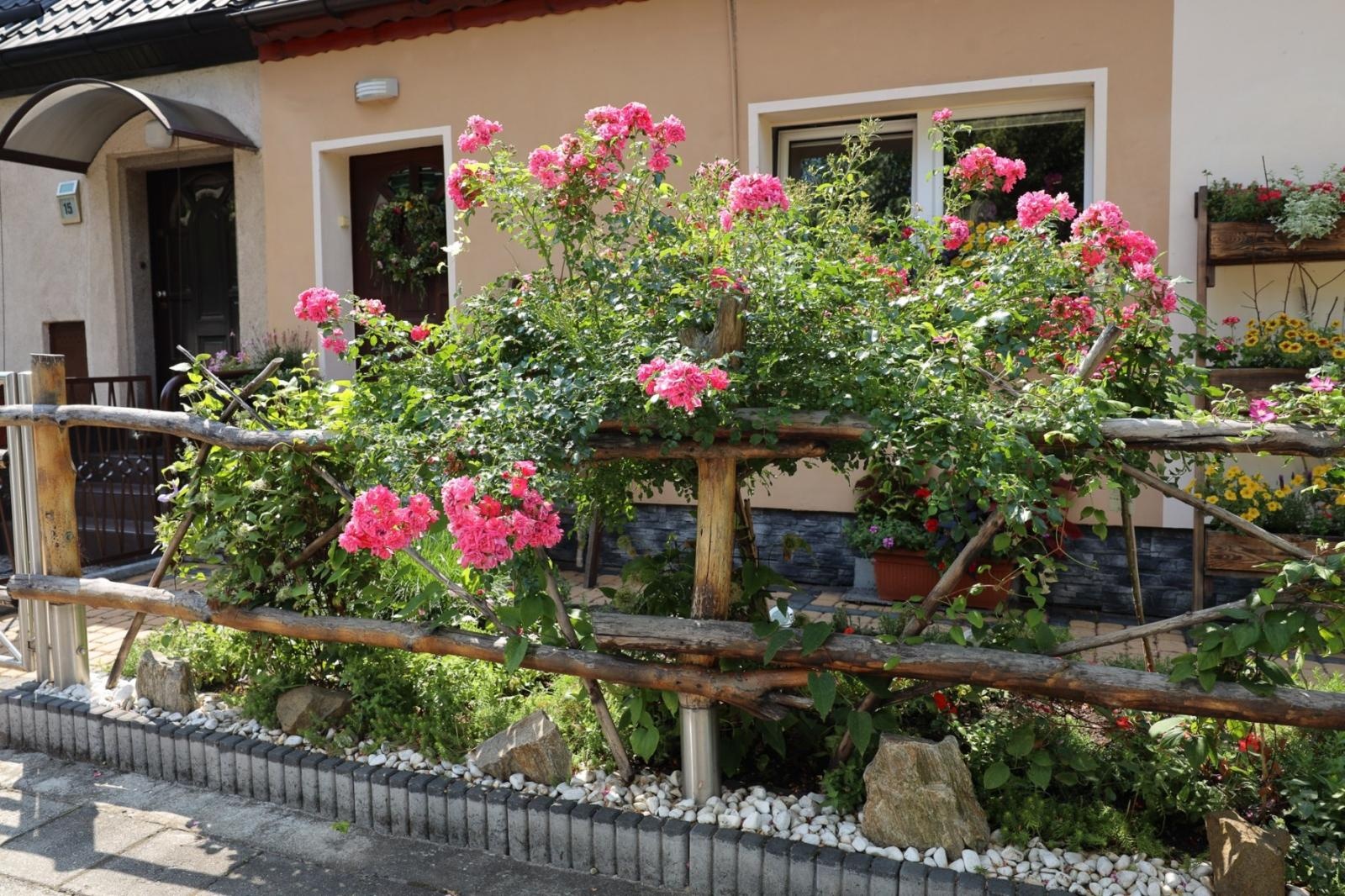 Zdjęcie w galerii na portalu naszraciborz.pl: Konkurs Zielono Mi - laureatki w kategorii najpiękniejszy ogród przydomowy wiadomości z regionu