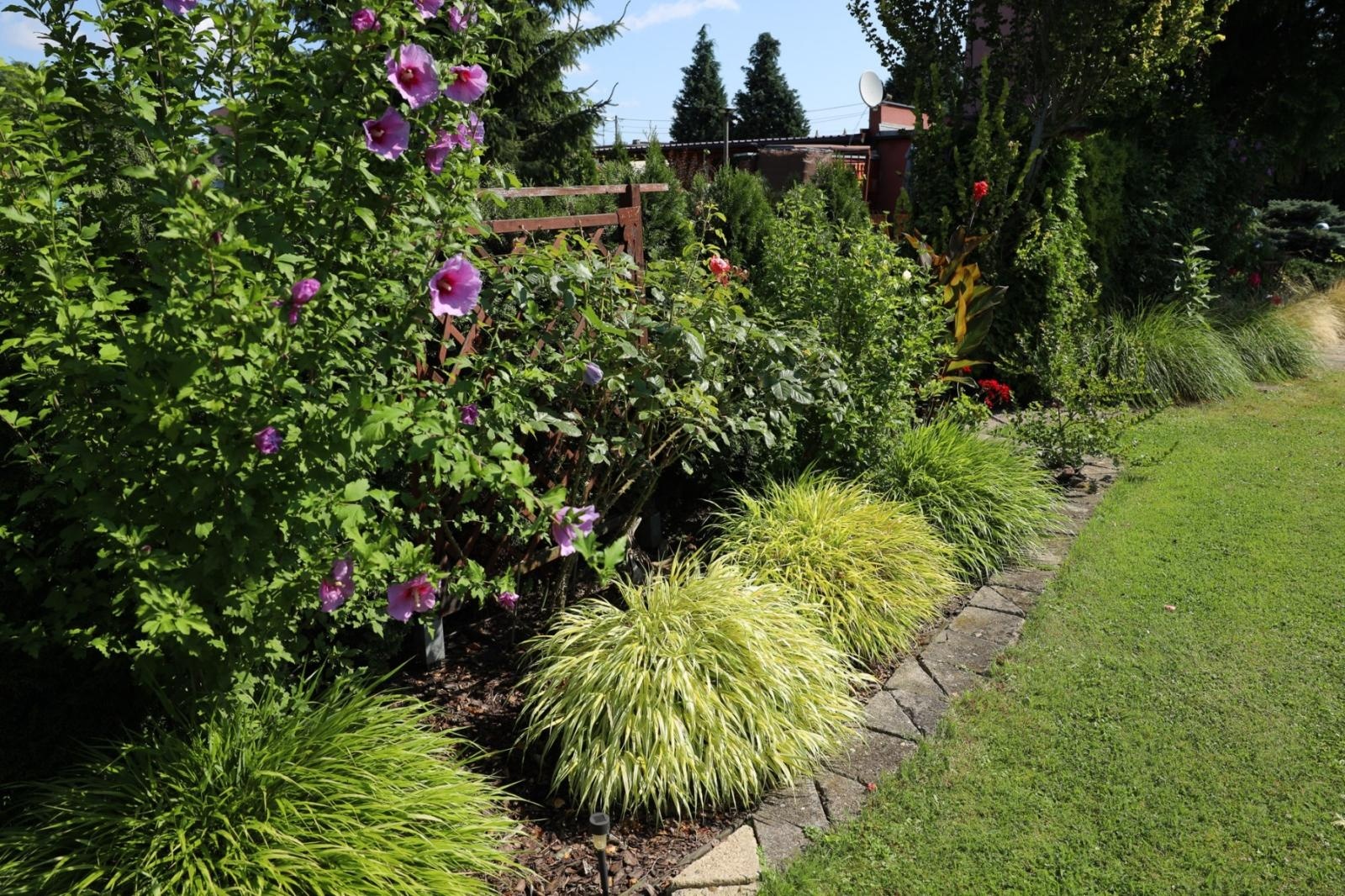 Zdjęcie w galerii na portalu naszraciborz.pl: Konkurs Zielono Mi - laureatki w kategorii najpiękniejszy ogród przydomowy wiadomości z regionu