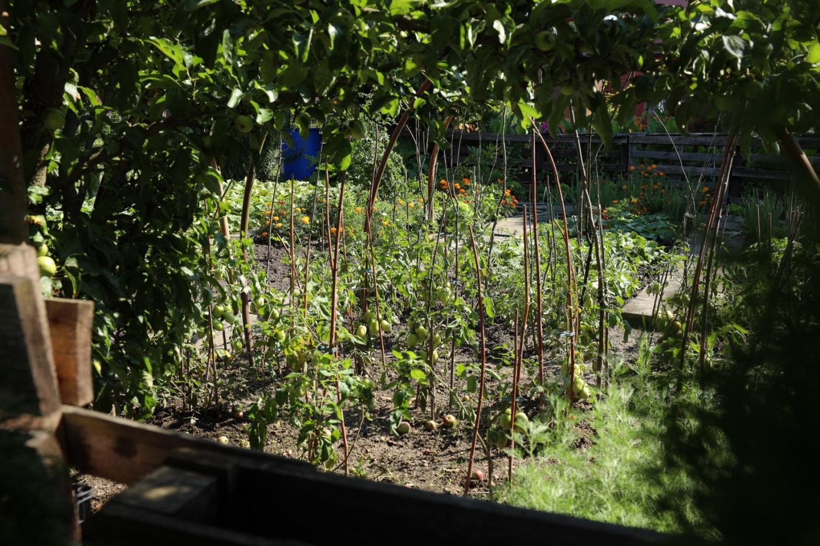 Zdjęcie w galerii na portalu naszraciborz.pl: Konkurs Zielono Mi - laureatki w kategorii najpiękniejszy ogród przydomowy wiadomości z regionu