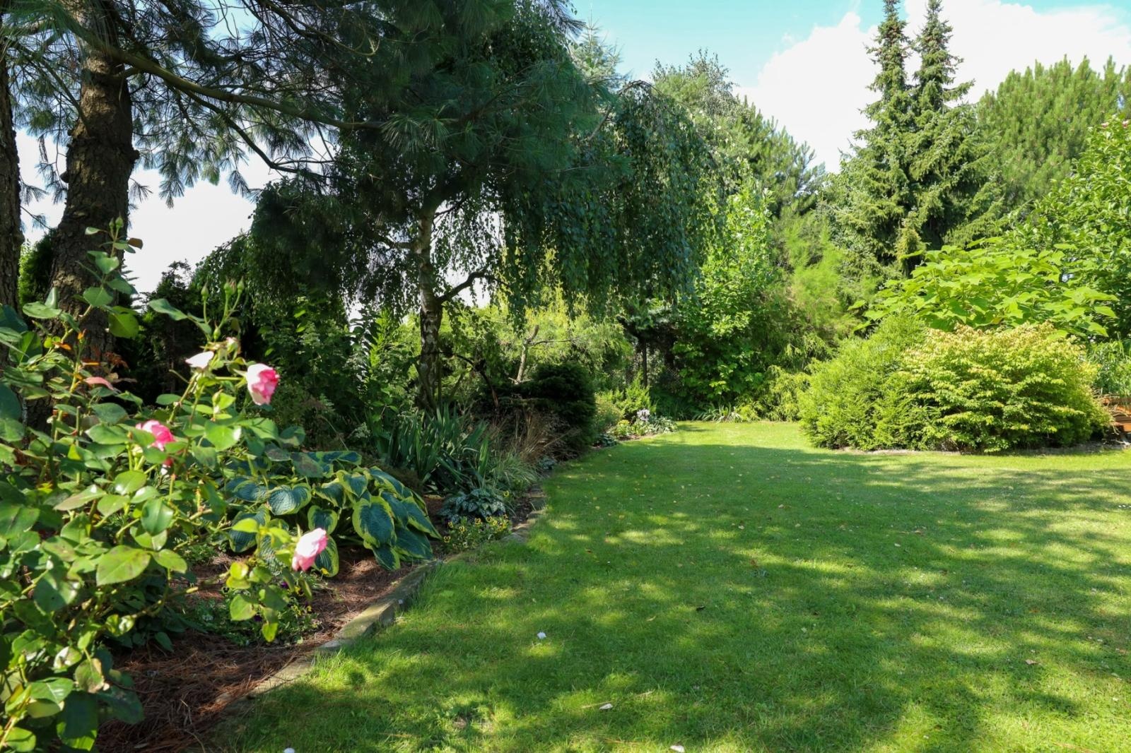 Zdjęcie w galerii na portalu naszraciborz.pl: Konkurs Zielono Mi - laureatki w kategorii najpiękniejszy ogród przydomowy wiadomości z regionu