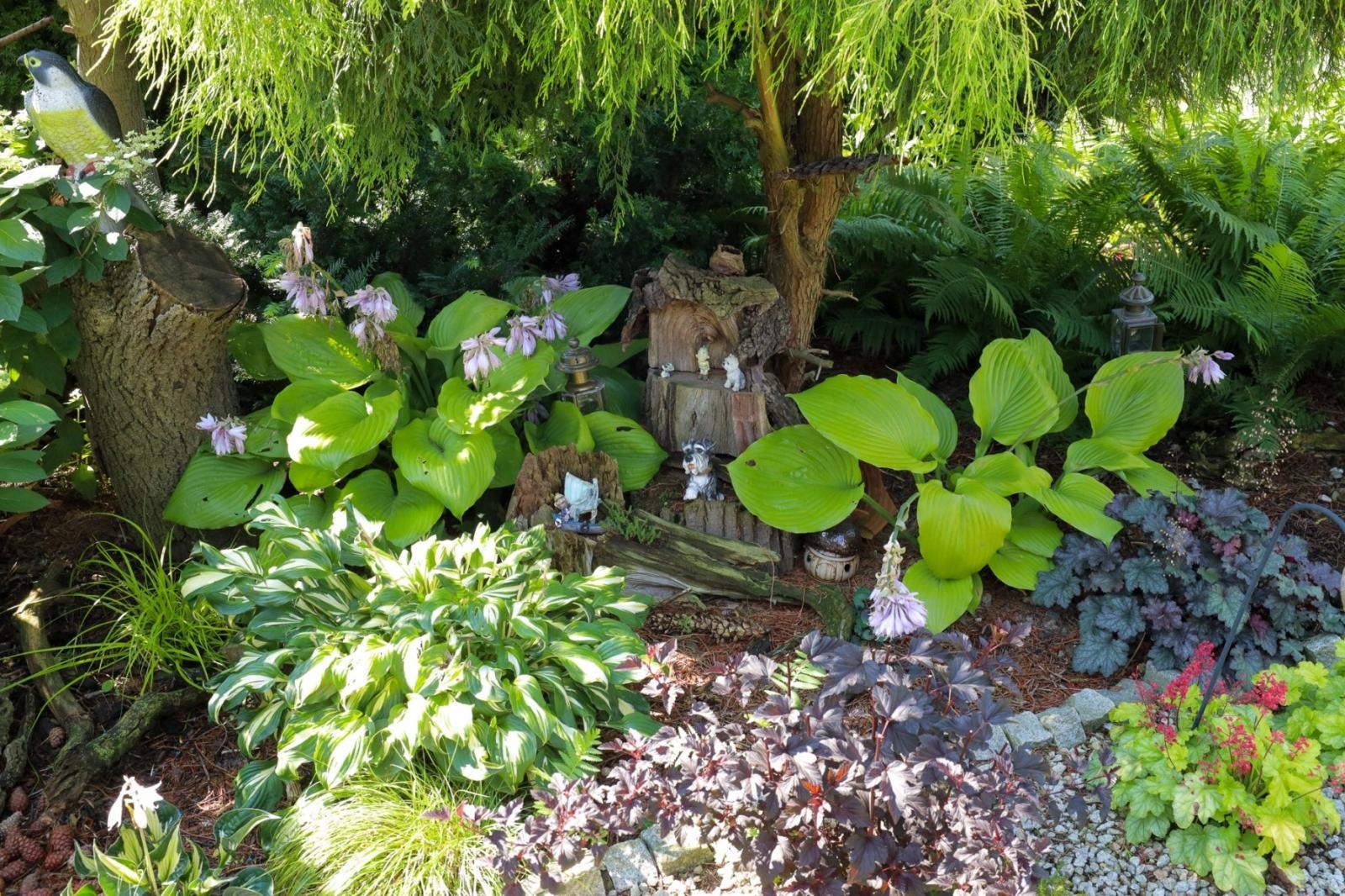 Zdjęcie w galerii na portalu naszraciborz.pl: Konkurs Zielono Mi - laureatki w kategorii najpiękniejszy ogród przydomowy wiadomości z regionu