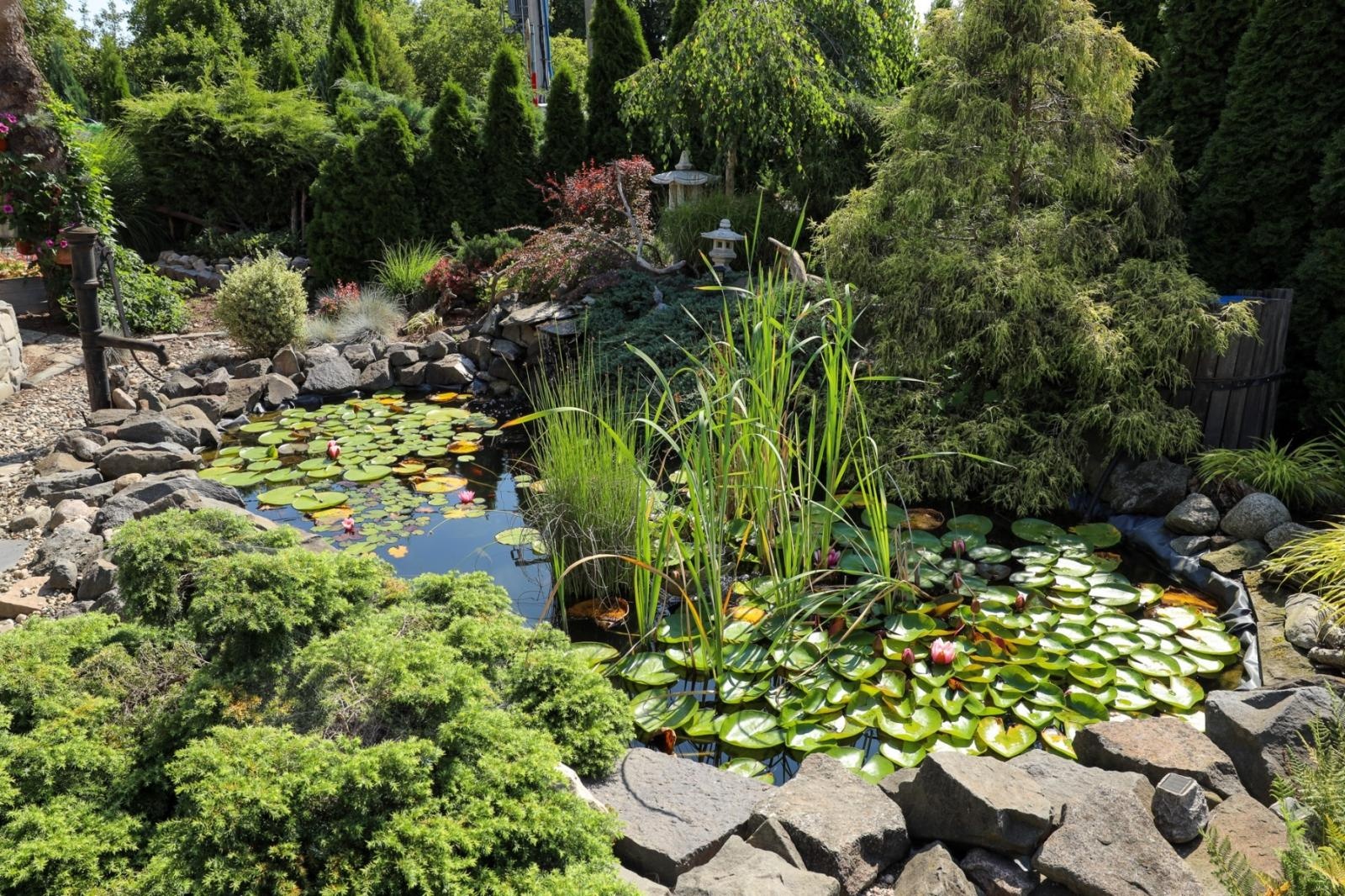 Zdjęcie w galerii na portalu naszraciborz.pl: Konkurs Zielono Mi - laureatki w kategorii najpiękniejszy ogród przydomowy wiadomości z regionu