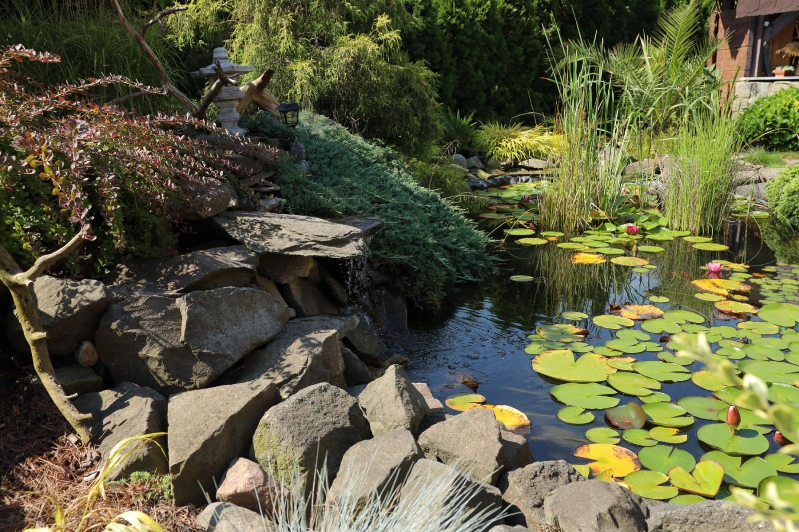 Zdjęcie w galerii na portalu naszraciborz.pl: Konkurs Zielono Mi - laureatki w kategorii najpiękniejszy ogród przydomowy wiadomości z regionu