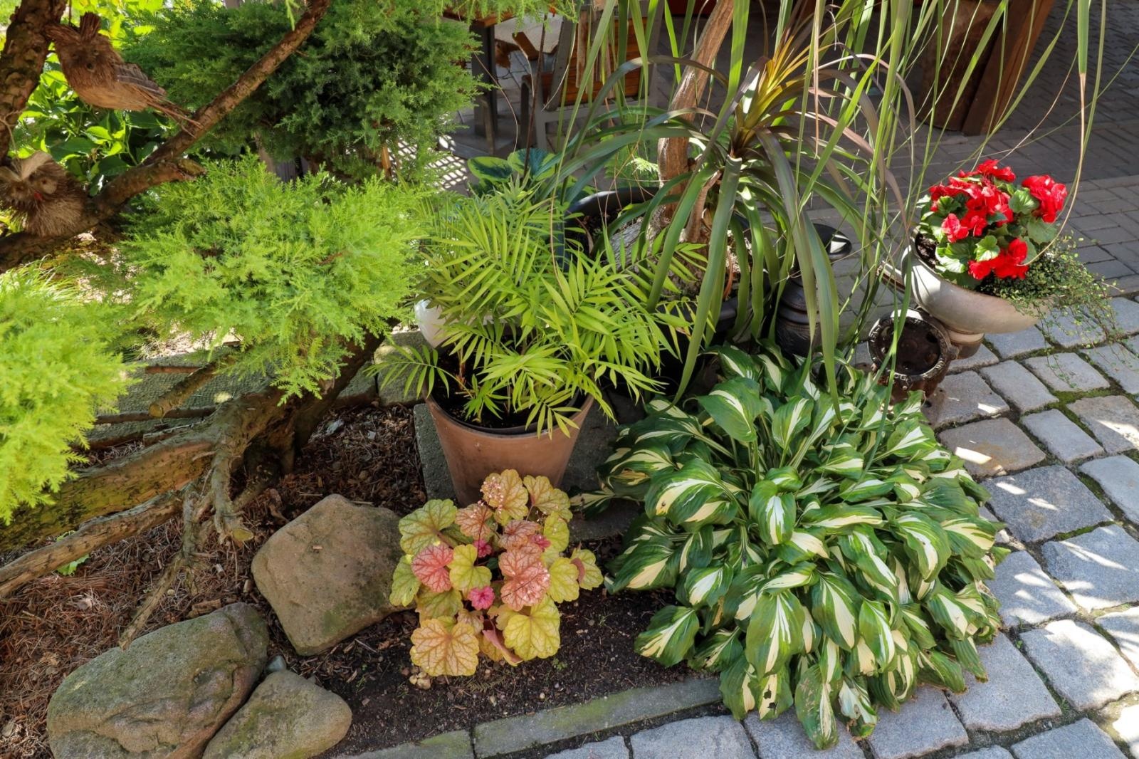 Zdjęcie w galerii na portalu naszraciborz.pl: Konkurs Zielono Mi - laureatki w kategorii najpiękniejszy ogród przydomowy wiadomości z regionu