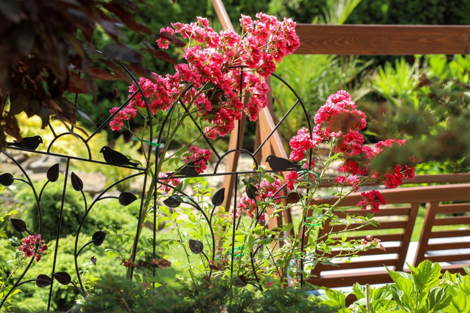 Zdjęcie w galerii na portalu naszraciborz.pl: Konkurs Zielono Mi - laureatki w kategorii najpiękniejszy ogród przydomowy wiadomości z regionu