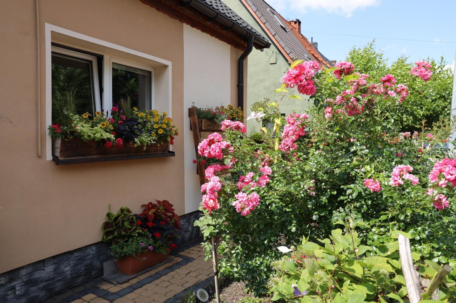 Zdjęcie w galerii na portalu naszraciborz.pl: Konkursu Zielono Mi. Okno pani Iwony urzekło komisję wiadomości z regionu