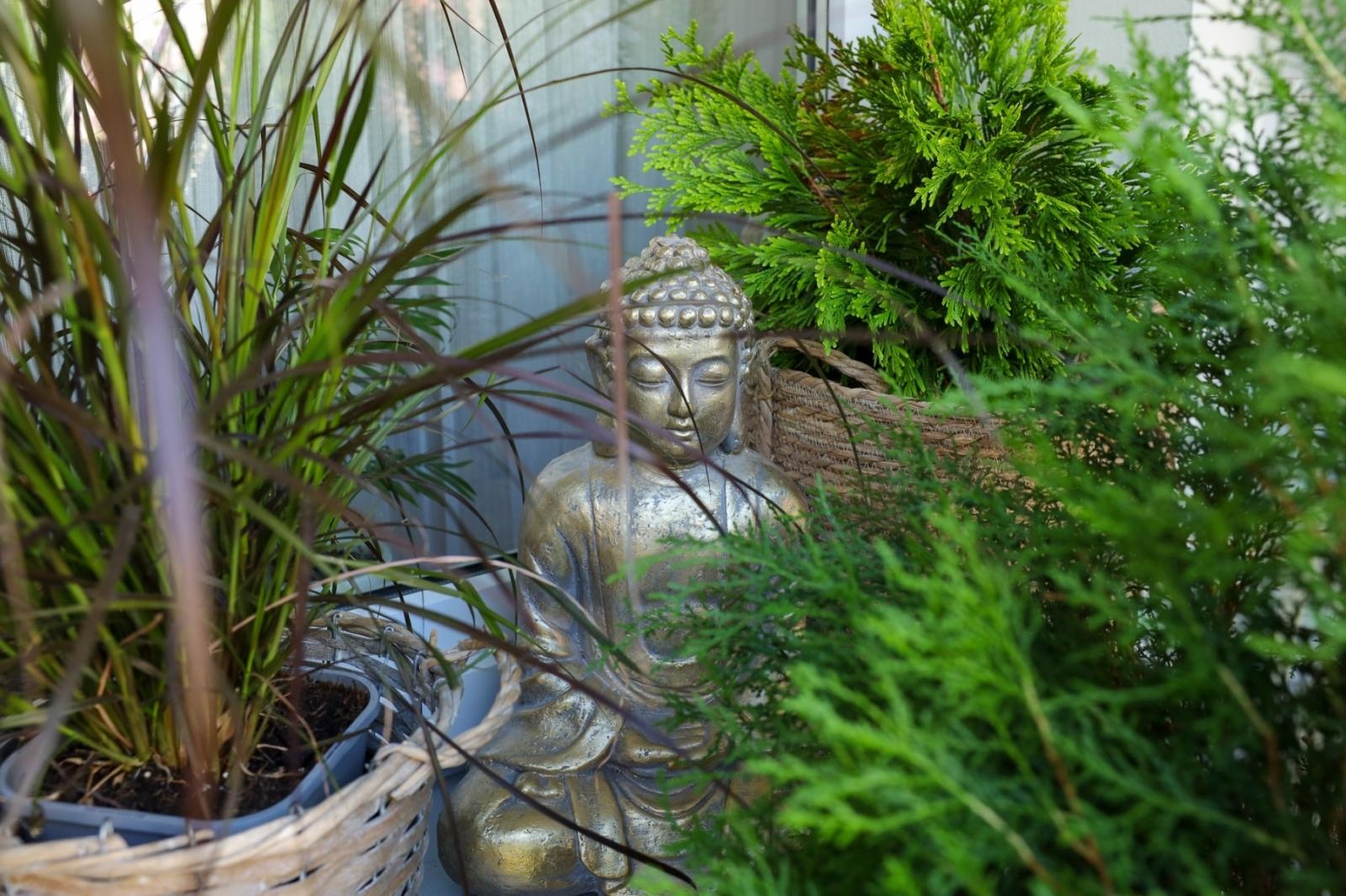 Zdjęcie w galerii na portalu naszraciborz.pl: Raciborskie balkony toną w zieleni. Zobaczcie nagrodzone i wyróżnione w konkursie Zielono Mi [FOTO] wiadomości z regionu