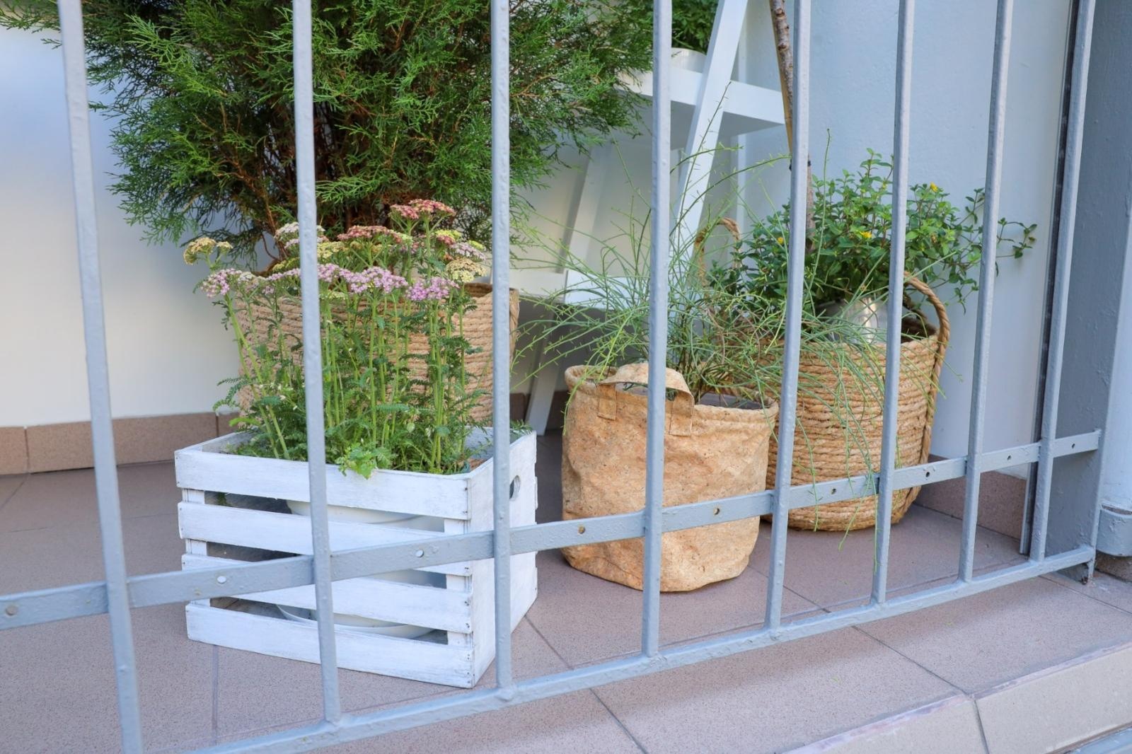 Zdjęcie w galerii na portalu naszraciborz.pl: Raciborskie balkony toną w zieleni. Zobaczcie nagrodzone i wyróżnione w konkursie Zielono Mi [FOTO] wiadomości z regionu