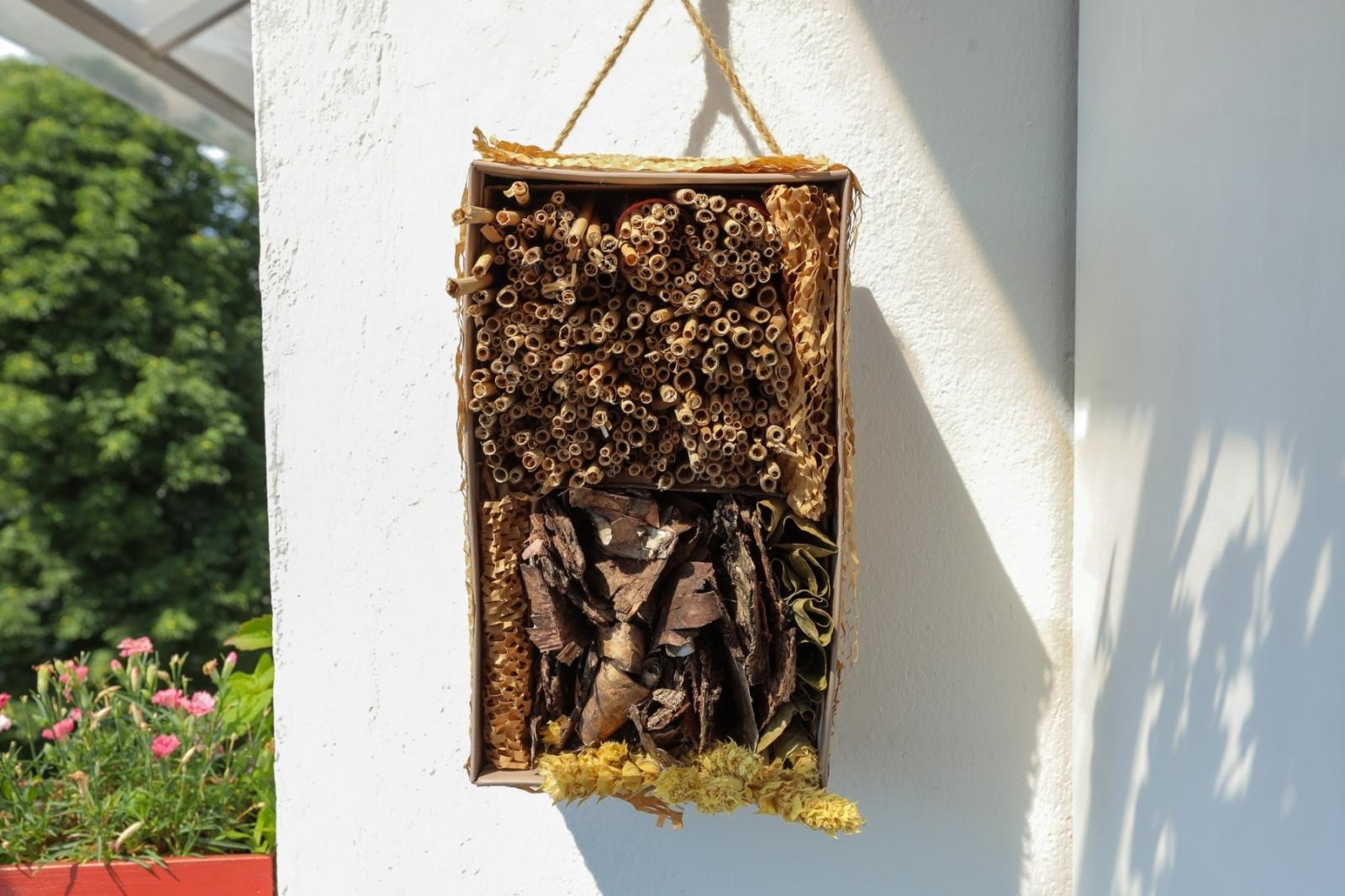 Zdjęcie w galerii na portalu naszraciborz.pl: Raciborskie balkony toną w zieleni. Zobaczcie nagrodzone i wyróżnione w konkursie Zielono Mi [FOTO] wiadomości z regionu