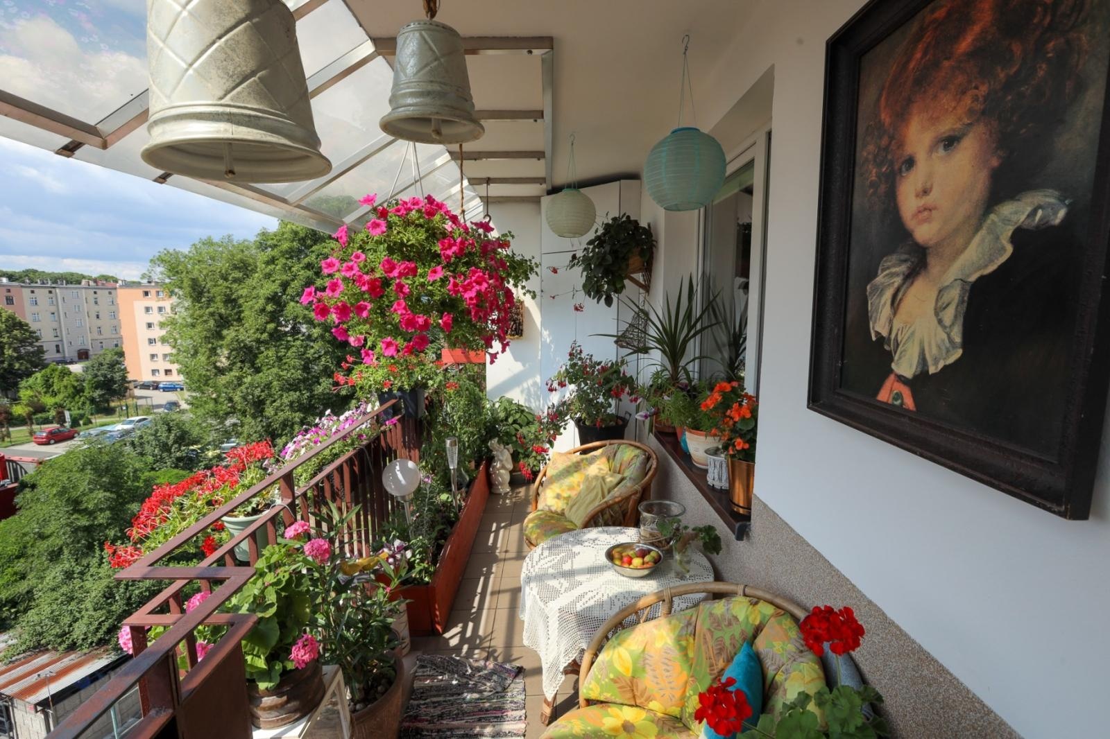 Zdjęcie w galerii na portalu naszraciborz.pl: Raciborskie balkony toną w zieleni. Zobaczcie nagrodzone i wyróżnione w konkursie Zielono Mi [FOTO] wiadomości z regionu