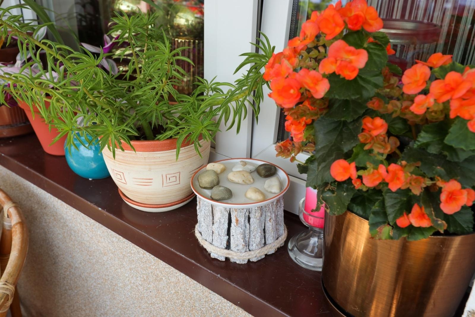 Zdjęcie w galerii na portalu naszraciborz.pl: Raciborskie balkony toną w zieleni. Zobaczcie nagrodzone i wyróżnione w konkursie Zielono Mi [FOTO] wiadomości z regionu