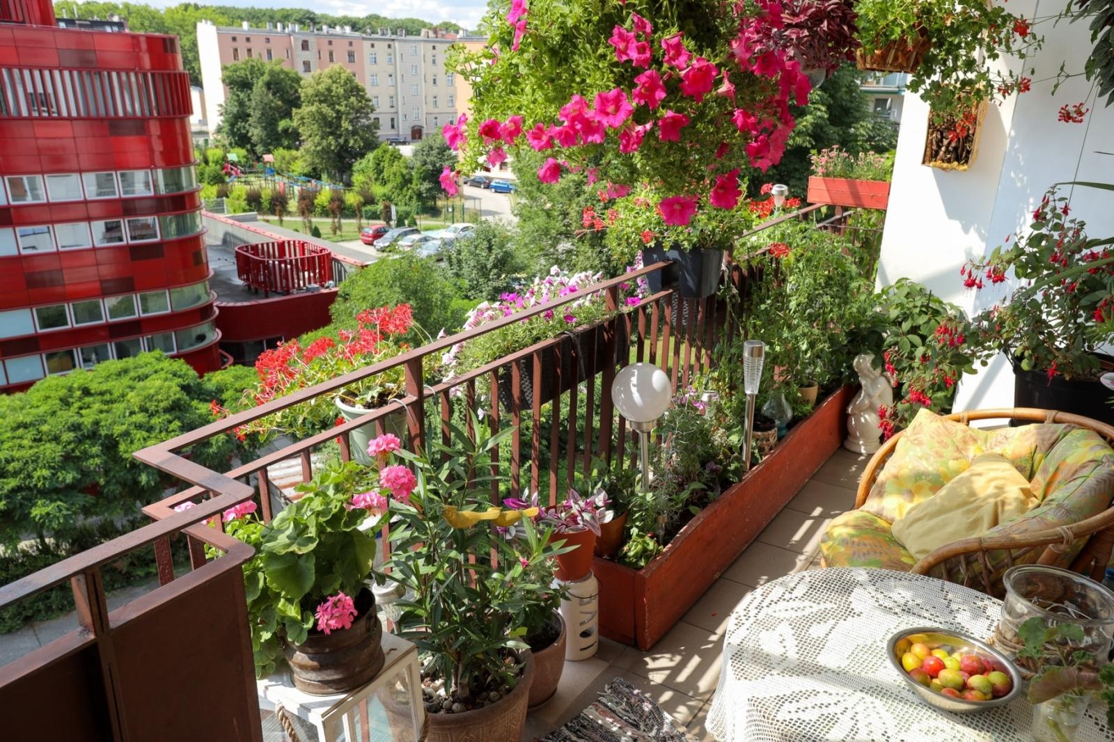 Zdjęcie w galerii na portalu naszraciborz.pl: Raciborskie balkony toną w zieleni. Zobaczcie nagrodzone i wyróżnione w konkursie Zielono Mi [FOTO] wiadomości z regionu