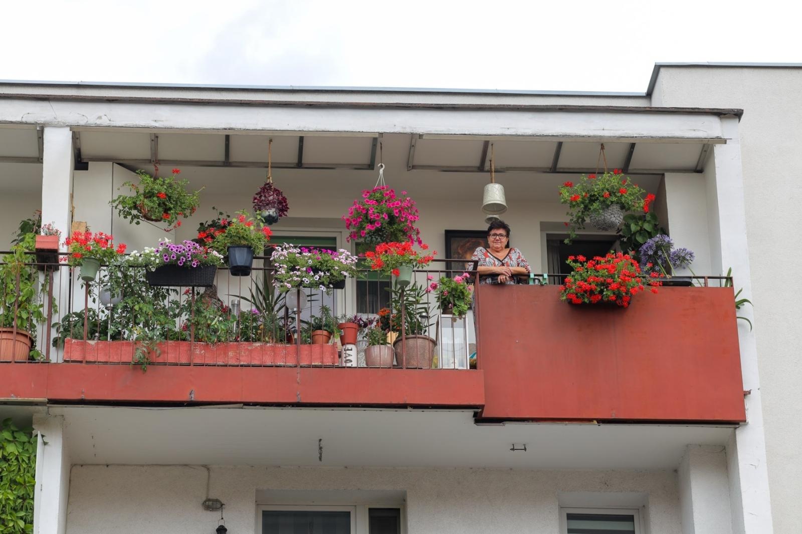 Zdjęcie w galerii na portalu naszraciborz.pl: Raciborskie balkony toną w zieleni. Zobaczcie nagrodzone i wyróżnione w konkursie Zielono Mi [FOTO] wiadomości z regionu