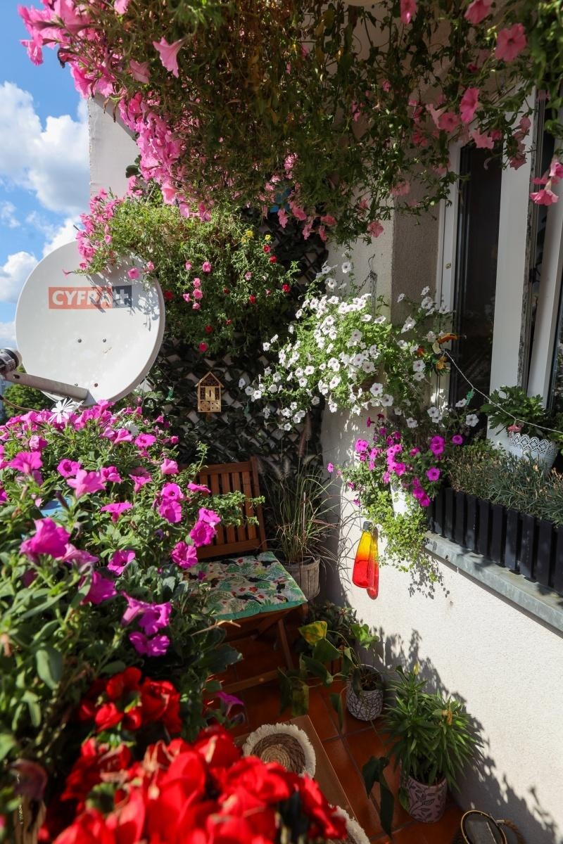 Zdjęcie w galerii na portalu naszraciborz.pl: Raciborskie balkony toną w zieleni. Zobaczcie nagrodzone i wyróżnione w konkursie Zielono Mi [FOTO] wiadomości z regionu
