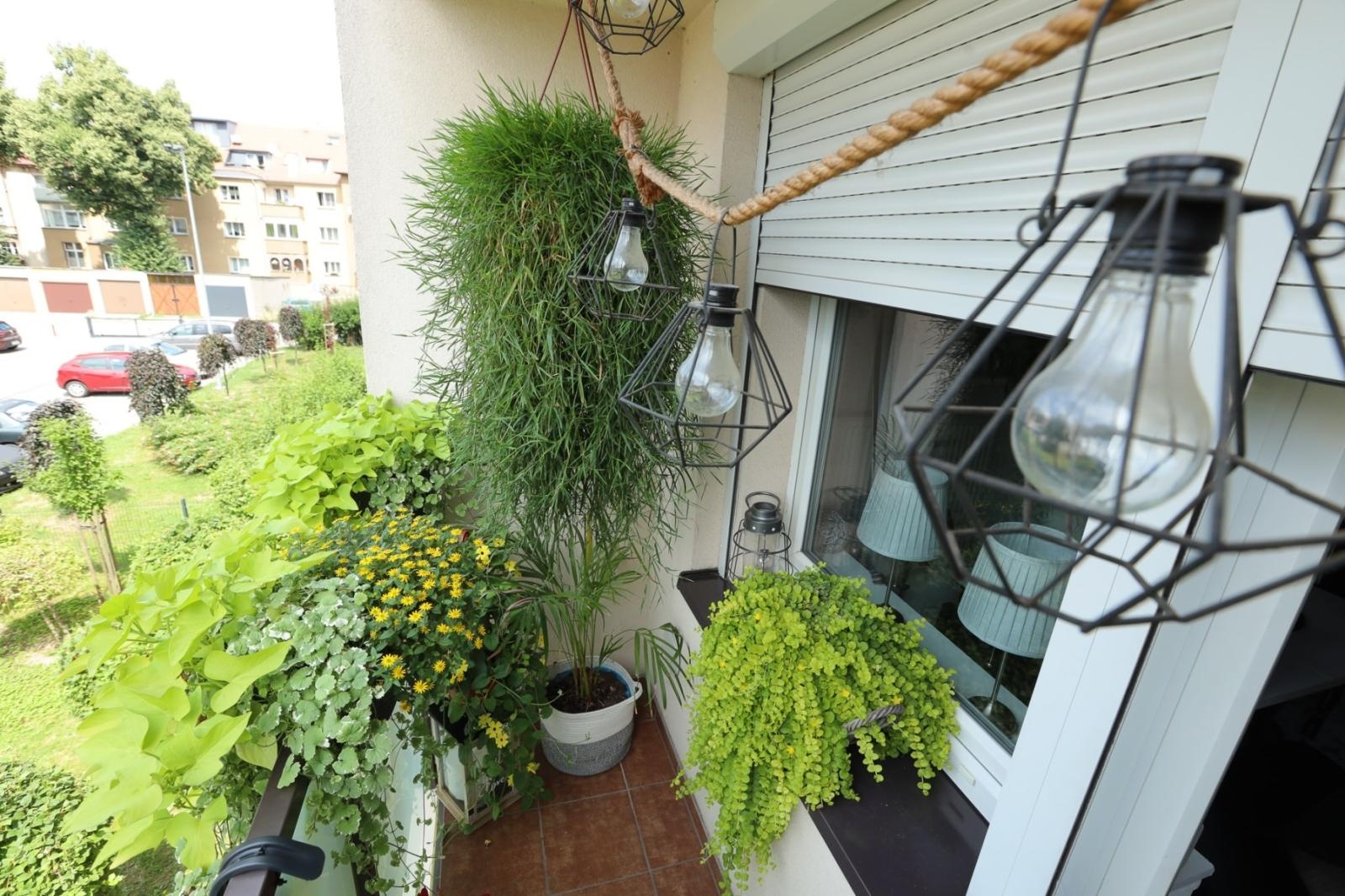 Zdjęcie w galerii na portalu naszraciborz.pl: Raciborskie balkony toną w zieleni. Zobaczcie nagrodzone i wyróżnione w konkursie Zielono Mi [FOTO] wiadomości z regionu