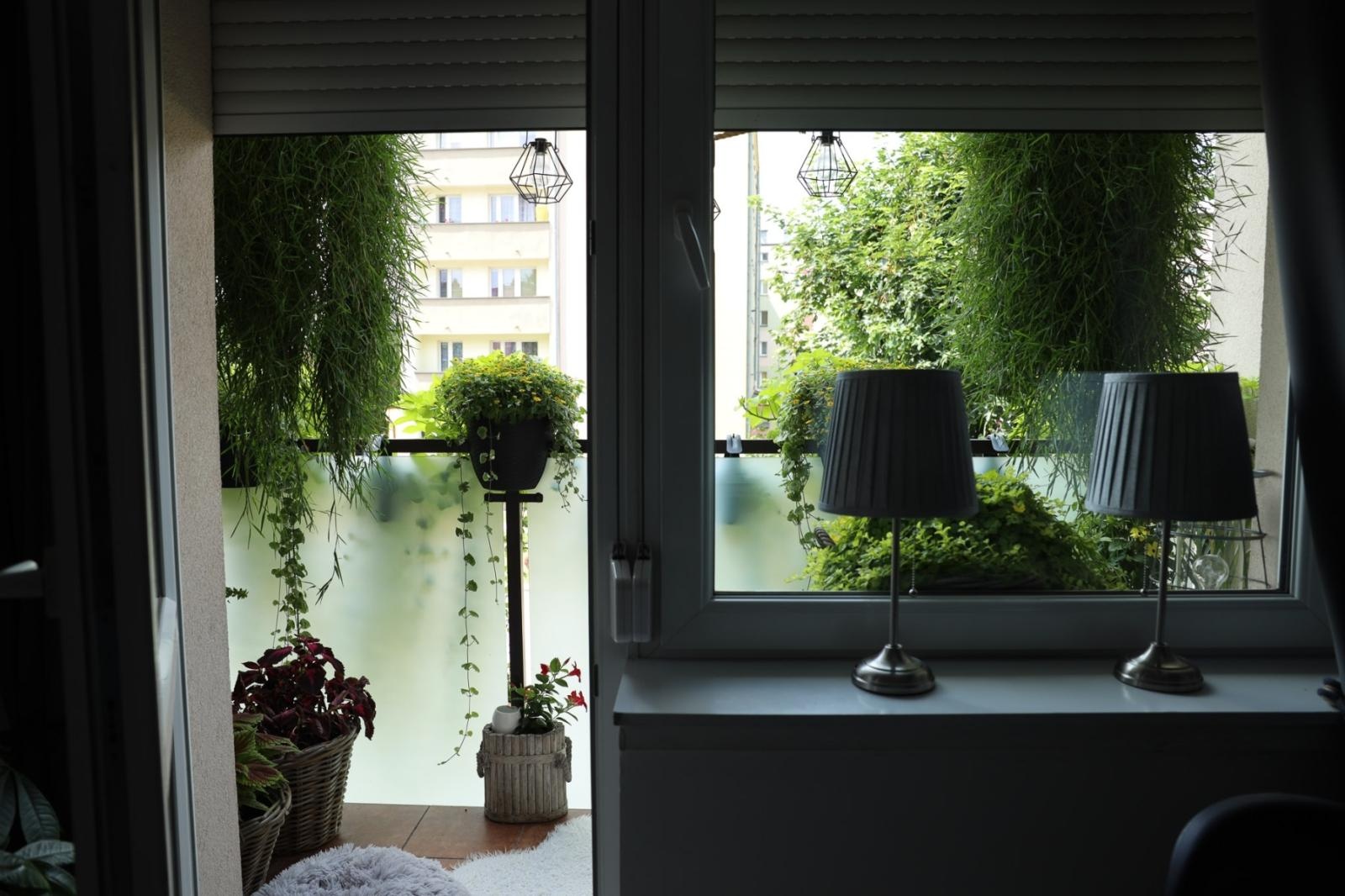 Zdjęcie w galerii na portalu naszraciborz.pl: Raciborskie balkony toną w zieleni. Zobaczcie nagrodzone i wyróżnione w konkursie Zielono Mi [FOTO] wiadomości z regionu