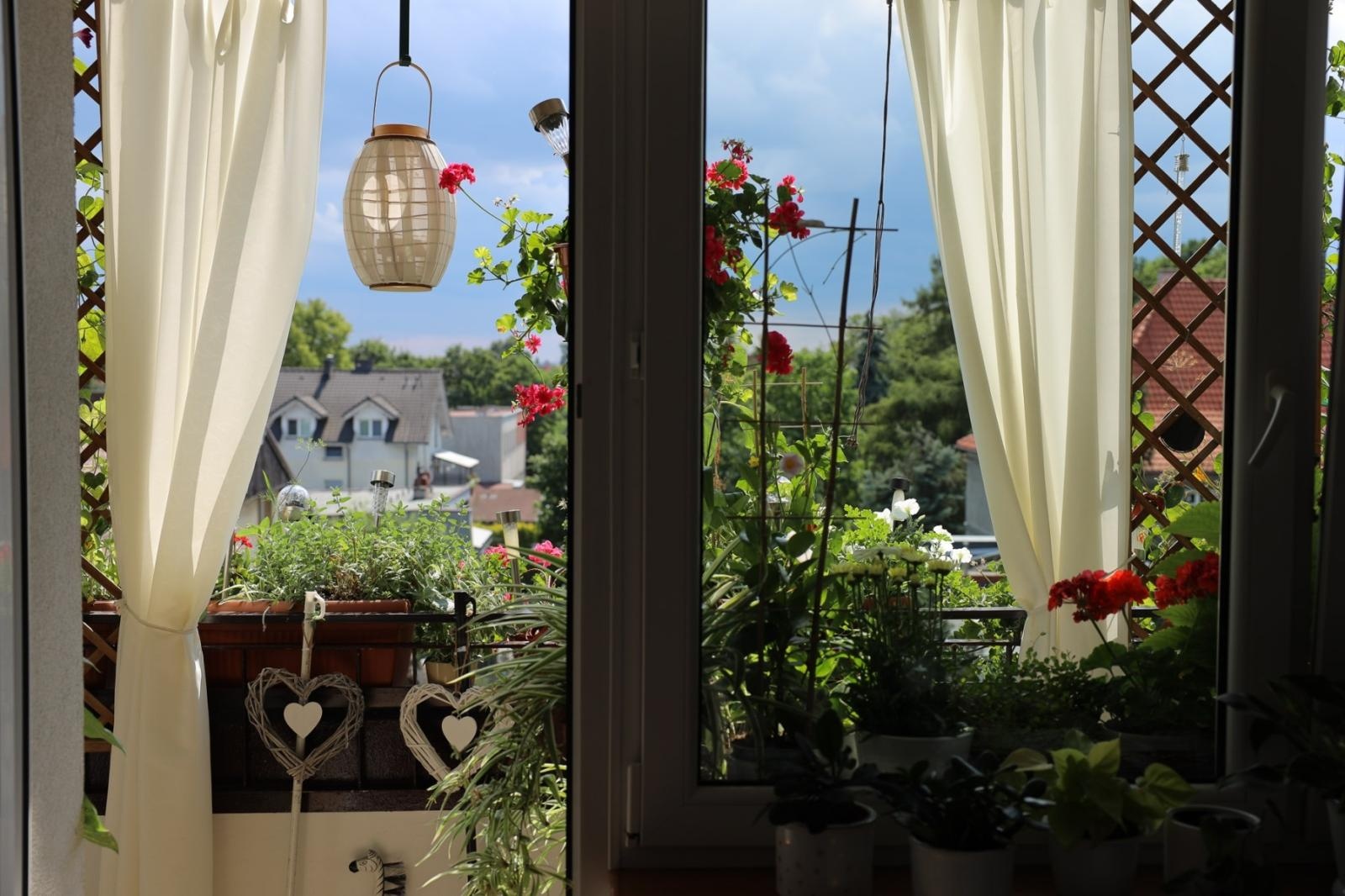 Zdjęcie w galerii na portalu naszraciborz.pl: Raciborskie balkony toną w zieleni. Zobaczcie nagrodzone i wyróżnione w konkursie Zielono Mi [FOTO] wiadomości z regionu