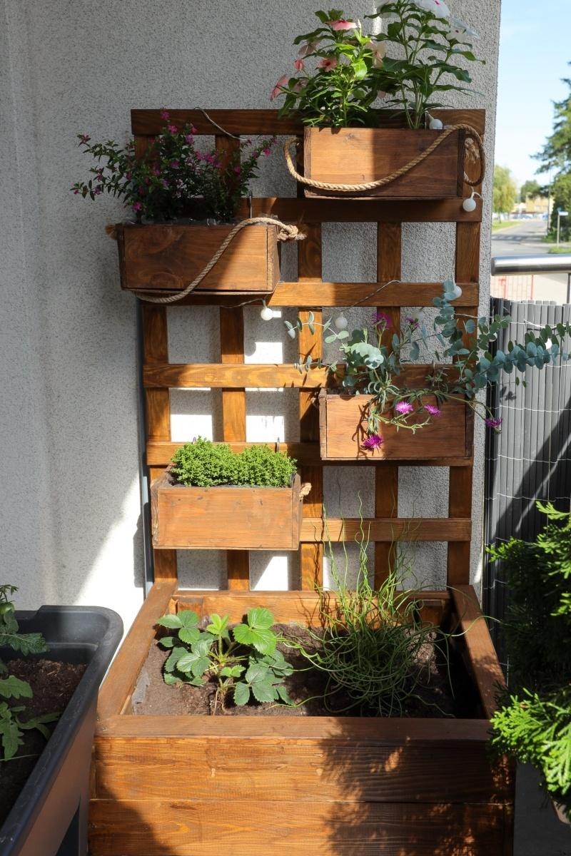 Zdjęcie w galerii na portalu naszraciborz.pl: Raciborskie balkony toną w zieleni. Zobaczcie nagrodzone i wyróżnione w konkursie Zielono Mi [FOTO] wiadomości z regionu