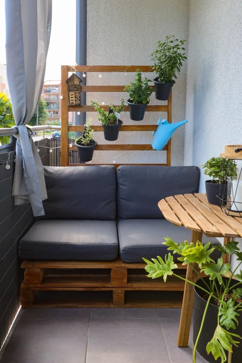 Zdjęcie w galerii na portalu naszraciborz.pl: Raciborskie balkony toną w zieleni. Zobaczcie nagrodzone i wyróżnione w konkursie Zielono Mi [FOTO] wiadomości z regionu