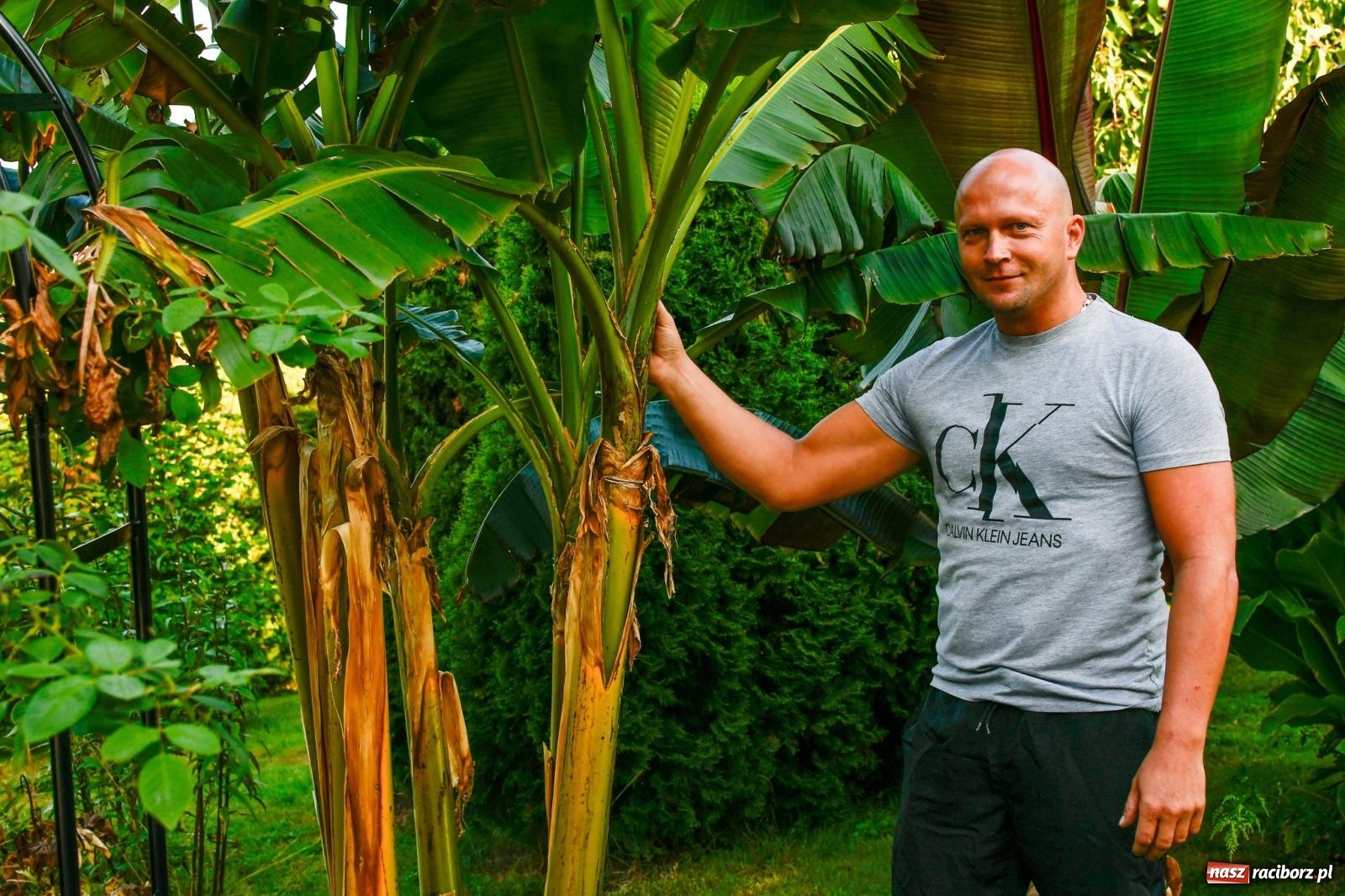 Zdjęcie w galerii na portalu naszraciborz.pl: Ogród w Krowiarkach pełen egzotycznych roślin [FOTO i WIDEO] wiadomości z regionu