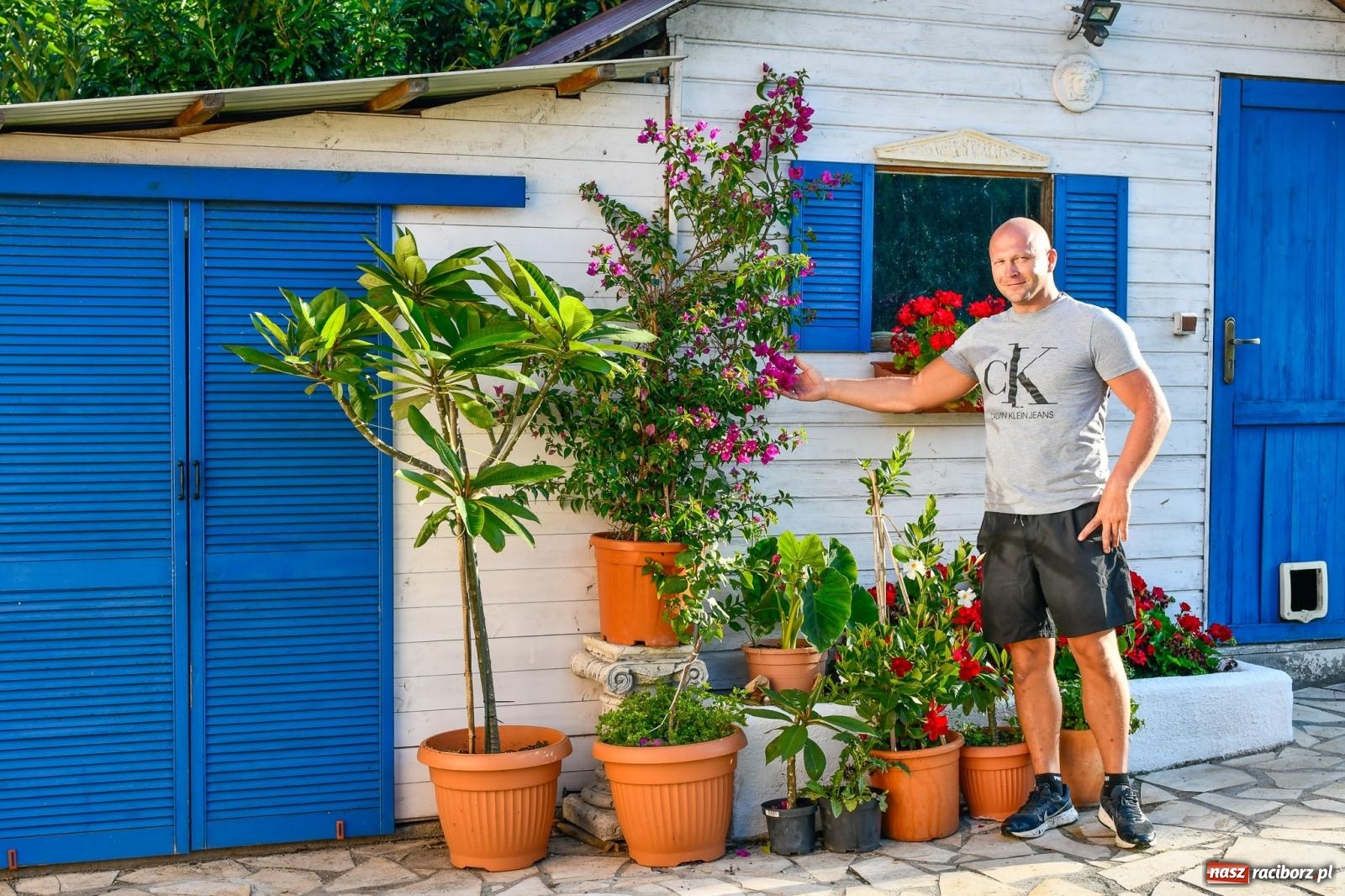 Zdjęcie w galerii na portalu naszraciborz.pl: Ogród w Krowiarkach pełen egzotycznych roślin [FOTO i WIDEO] wiadomości z regionu