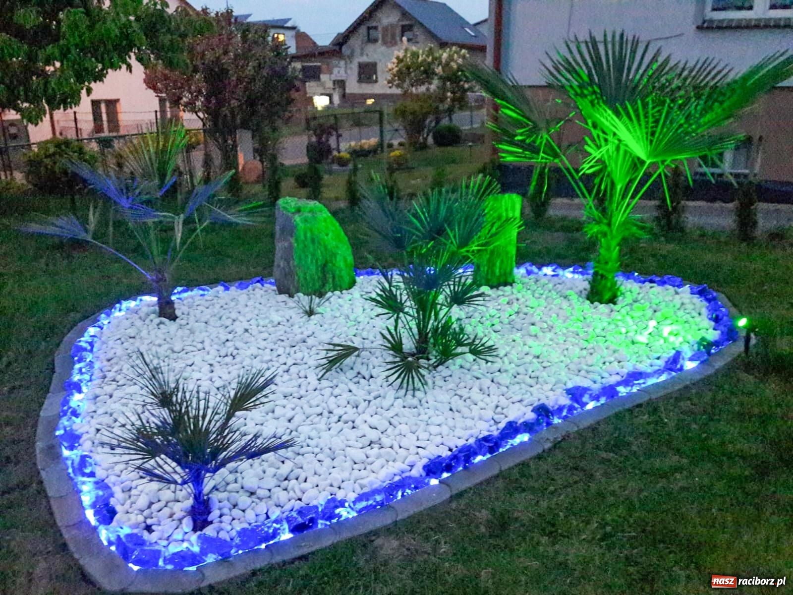 Zdjęcie w galerii na portalu naszraciborz.pl: Ogród w Krowiarkach pełen egzotycznych roślin [FOTO i WIDEO] wiadomości z regionu