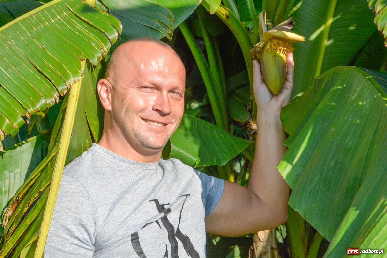 Zdjęcie w galerii na portalu naszraciborz.pl: Ogród w Krowiarkach pełen egzotycznych roślin [FOTO i WIDEO] wiadomości z regionu