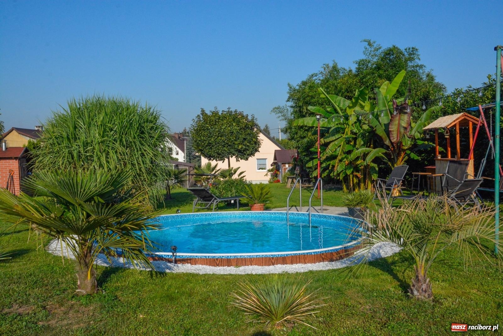 Zdjęcie w galerii na portalu naszraciborz.pl: Ogród w Krowiarkach pełen egzotycznych roślin [FOTO i WIDEO] wiadomości z regionu