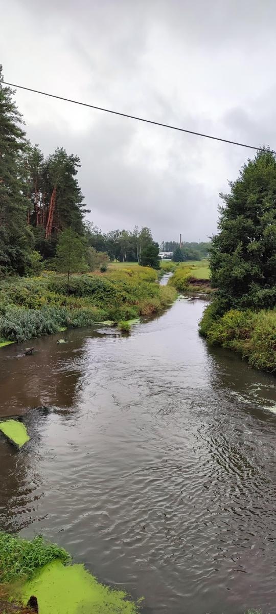 Zdjęcie w galerii na portalu naszraciborz.pl: Wakacje w powiecie w raciborskich Rudach wiadomości z regionu