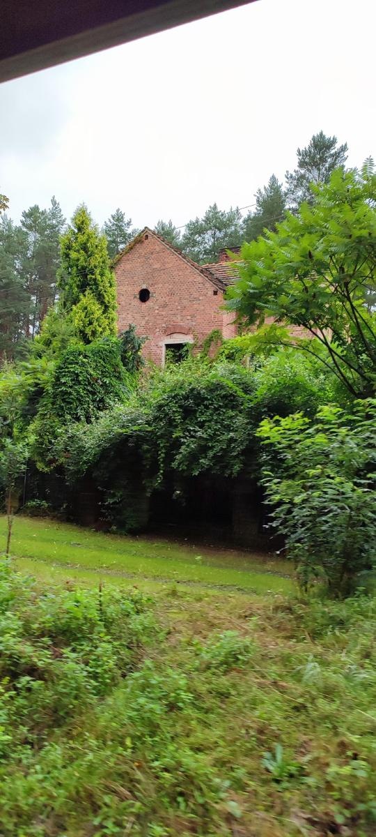 Zdjęcie w galerii na portalu naszraciborz.pl: Wakacje w powiecie w raciborskich Rudach wiadomości z regionu