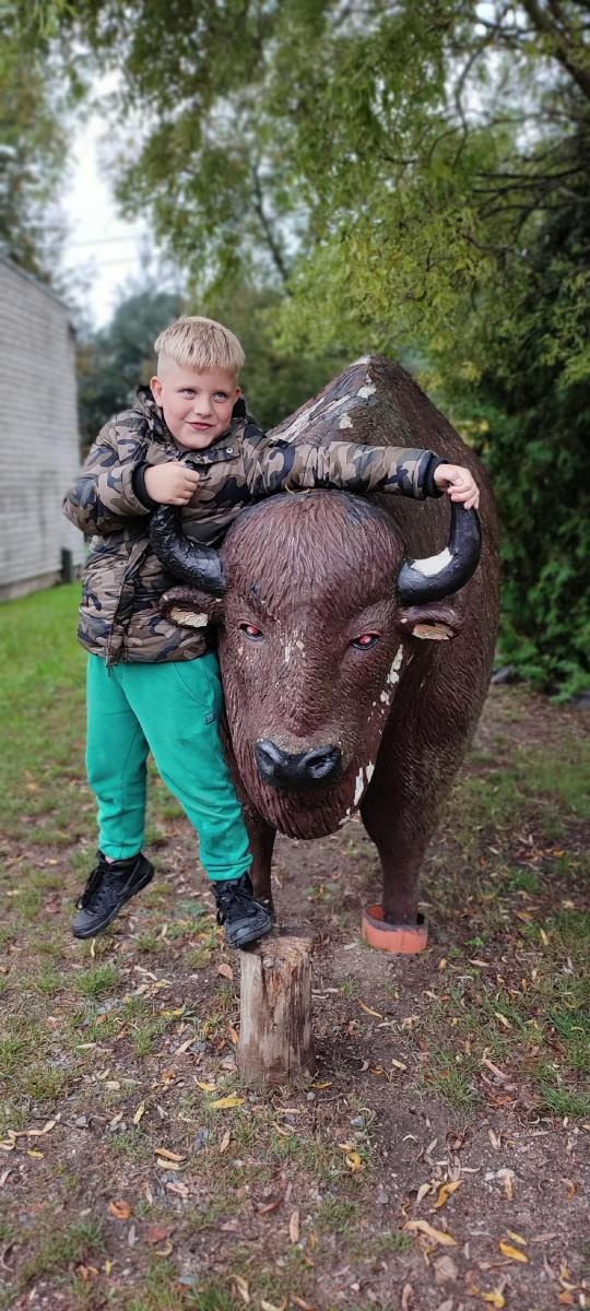 Zdjęcie w galerii na portalu naszraciborz.pl: Wakacje w powiecie w raciborskich Rudach wiadomości z regionu