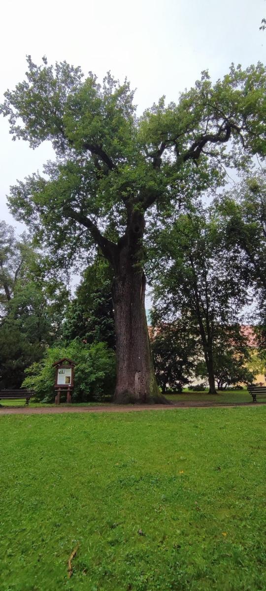 Zdjęcie w galerii na portalu naszraciborz.pl: Wakacje w powiecie w raciborskich Rudach wiadomości z regionu