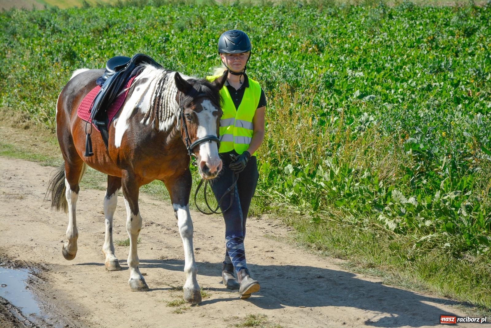 Zdjęcie w galerii na portalu naszraciborz.pl: Cesarskie rajtowanie w Gamowie [FOTO i WIDEO] wiadomości z regionu