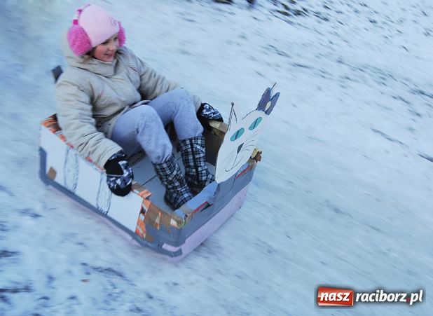Zdjęcie w galerii na portalu naszraciborz.pl: Kotek, samolot i dmuchana orka... wiadomości z regionu