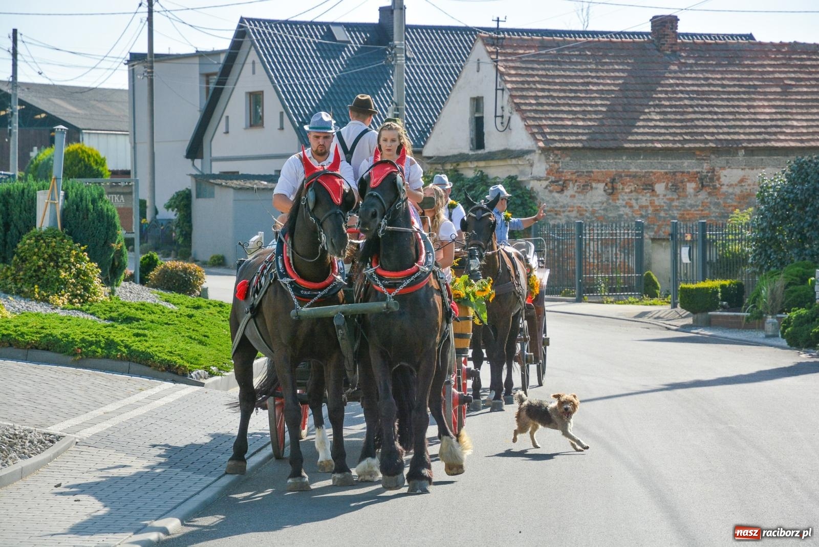 Zdjęcie w galerii na portalu naszraciborz.pl: Dziękowali za plony z kuflem w ręku. Dożynki w Żerdzinach [FOTO i WIDEO] wiadomości z regionu