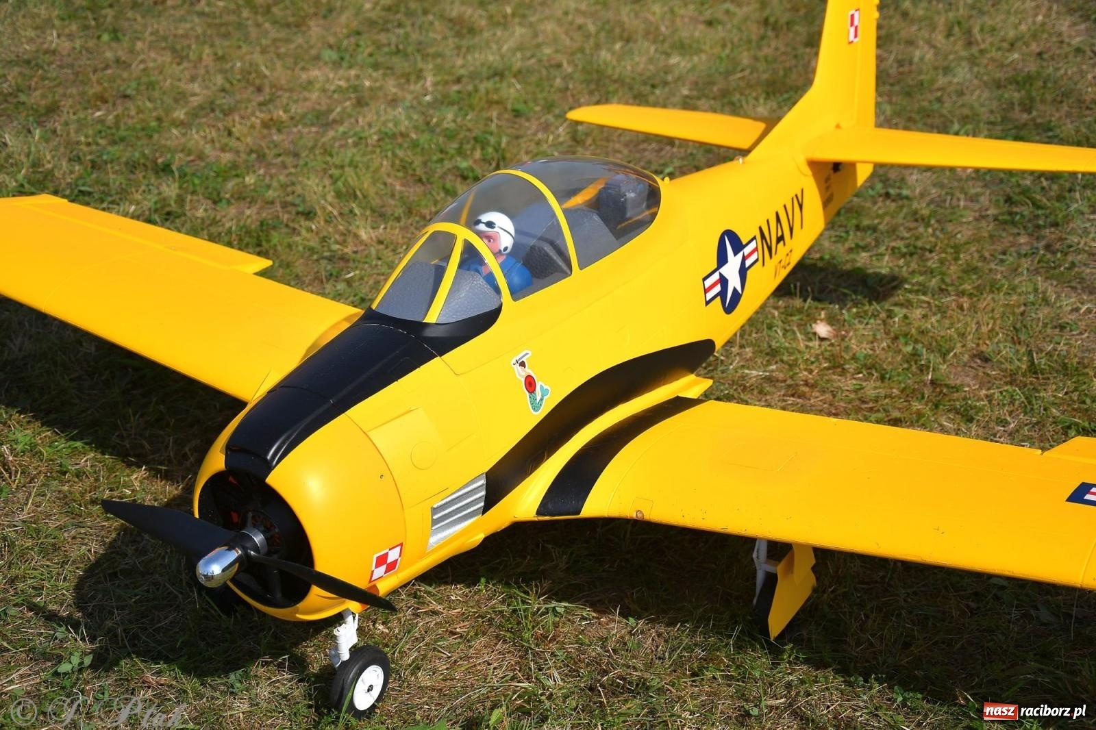 Zdjęcie w galerii na portalu naszraciborz.pl: Filmowe podsumowanie XVI Pikniku Modelarskiego [WIDEO] wiadomości z regionu