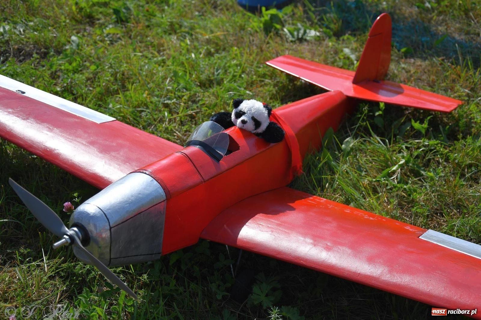 Zdjęcie w galerii na portalu naszraciborz.pl: Filmowe podsumowanie XVI Pikniku Modelarskiego [WIDEO] wiadomości z regionu