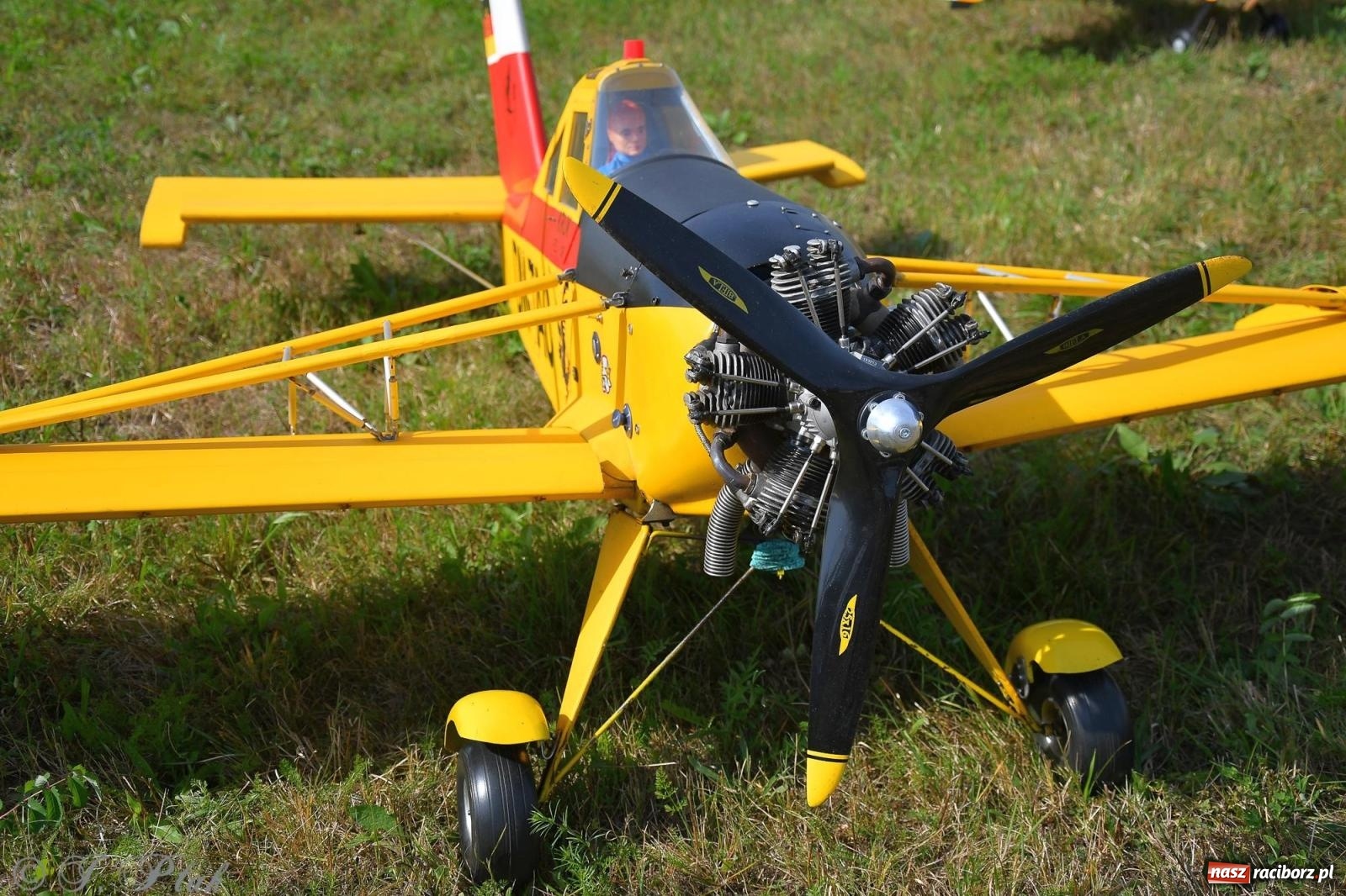 Zdjęcie w galerii na portalu naszraciborz.pl: Filmowe podsumowanie XVI Pikniku Modelarskiego [WIDEO] wiadomości z regionu