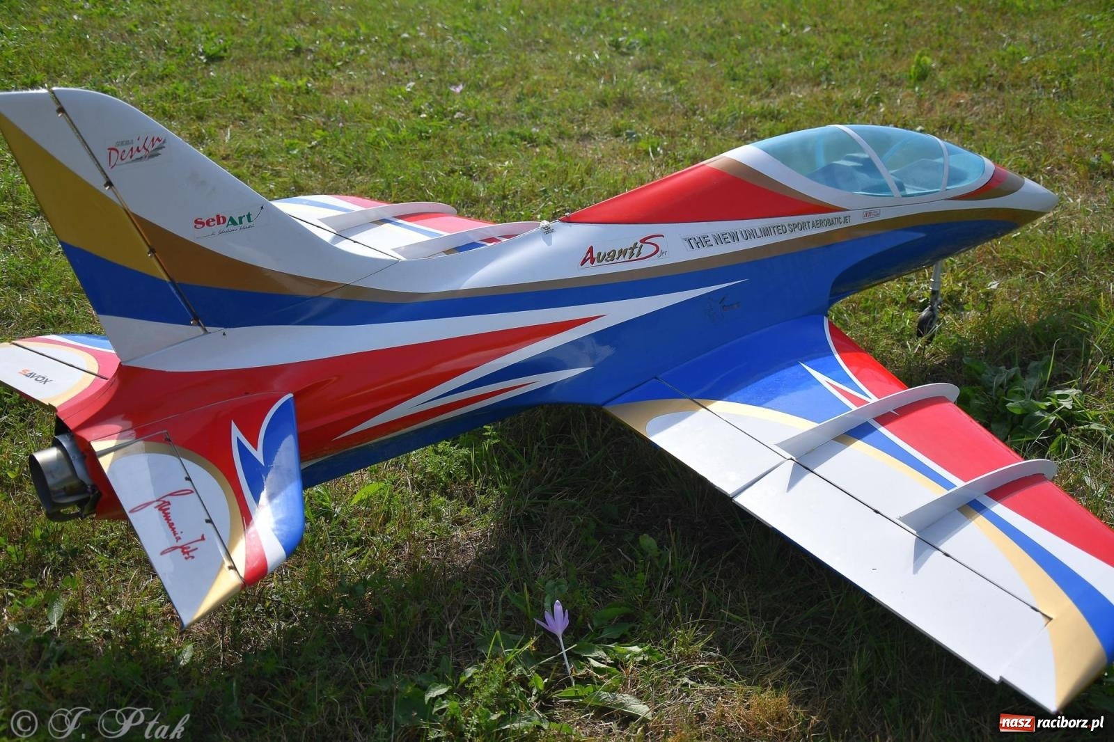 Zdjęcie w galerii na portalu naszraciborz.pl: Filmowe podsumowanie XVI Pikniku Modelarskiego [WIDEO] wiadomości z regionu