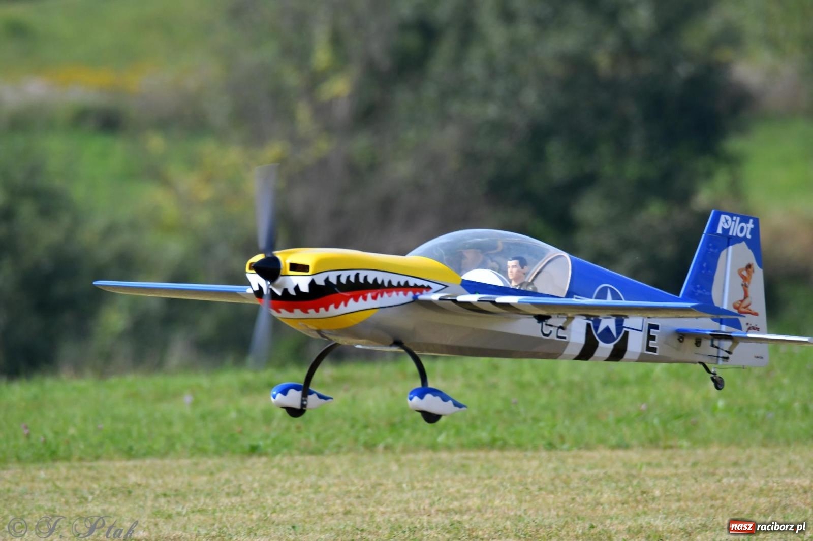 Zdjęcie w galerii na portalu naszraciborz.pl: Filmowe podsumowanie XVI Pikniku Modelarskiego [WIDEO] wiadomości z regionu