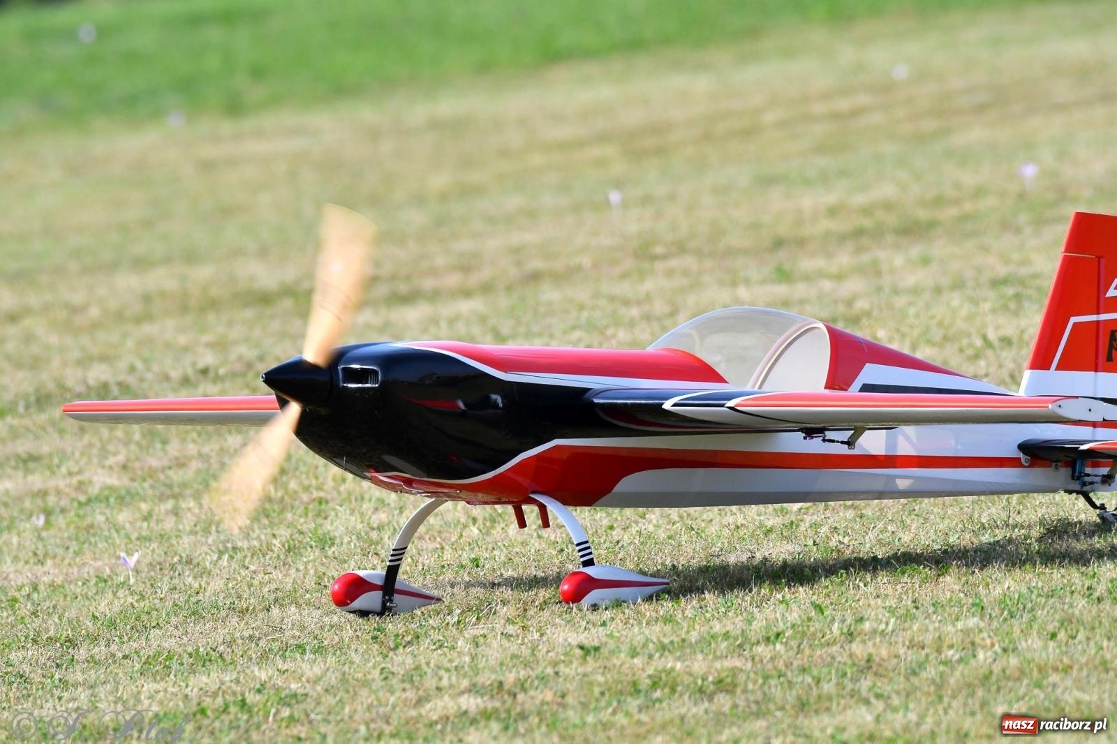 Zdjęcie w galerii na portalu naszraciborz.pl: Filmowe podsumowanie XVI Pikniku Modelarskiego [WIDEO] wiadomości z regionu