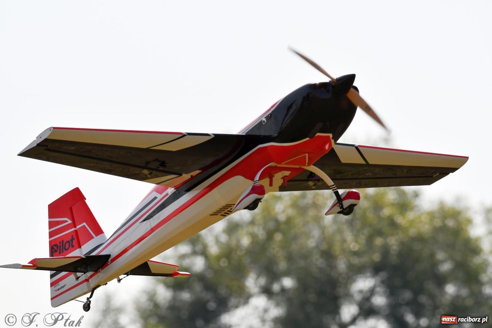 Zdjęcie w galerii na portalu naszraciborz.pl: Filmowe podsumowanie XVI Pikniku Modelarskiego [WIDEO] wiadomości z regionu