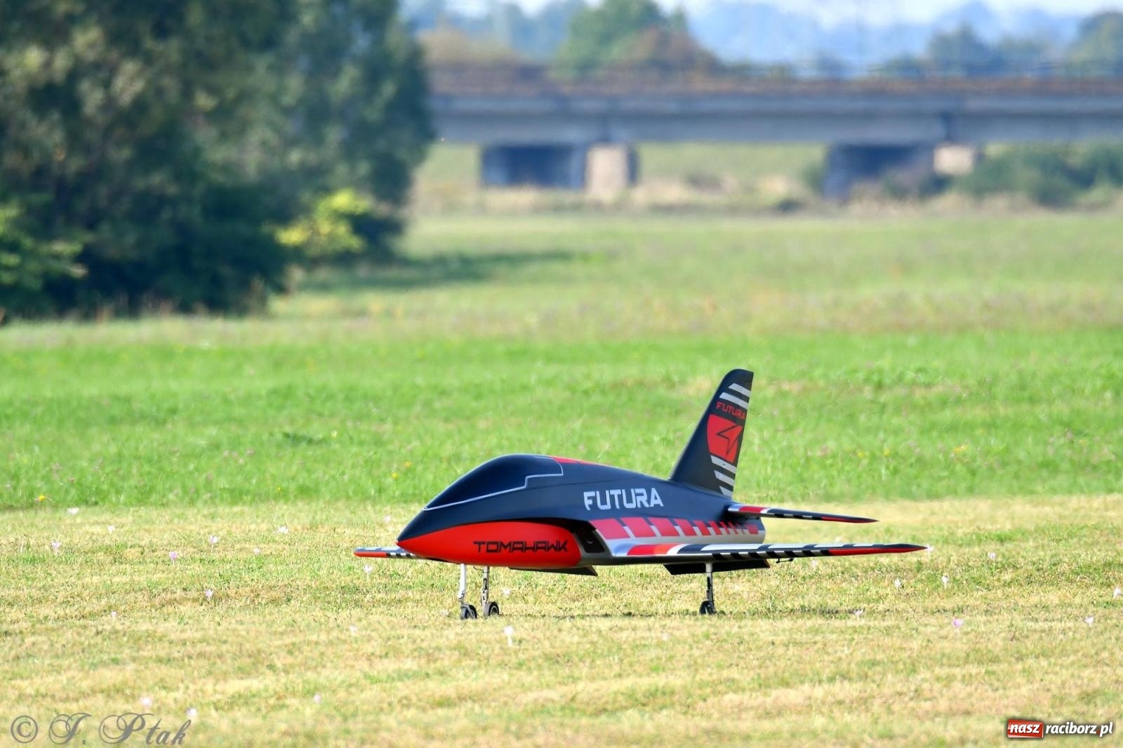 Zdjęcie w galerii na portalu naszraciborz.pl: Filmowe podsumowanie XVI Pikniku Modelarskiego [WIDEO] wiadomości z regionu